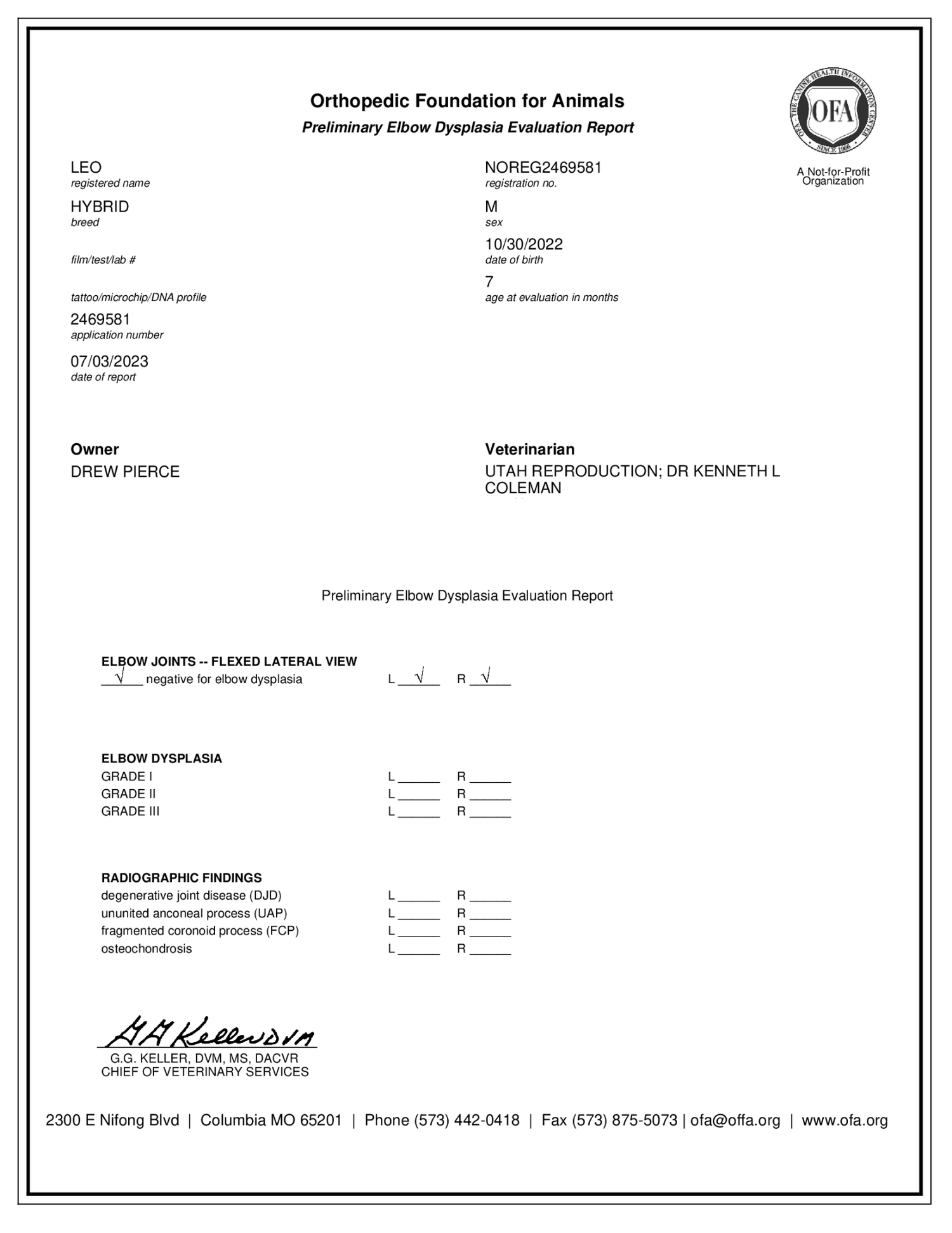 OFA Preliminary Elbow Dysplasia Evaluation Report for Mini Goldendoodle stud Leo showing negative for elbow dysplasia on both left and right elbows, performed at 7 months of age by Dr. Kenneth L. Coleman at Utah Reproduction in Salt Lake City, Utah