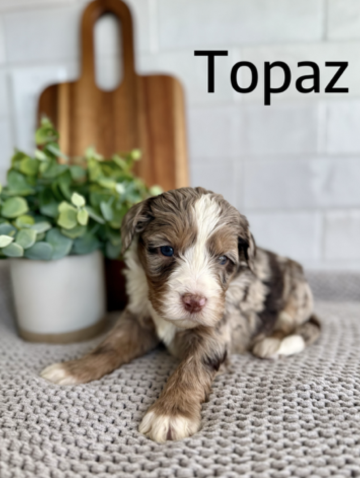 Screen Shot 2026-02-04 at 11.32.46 AM.png