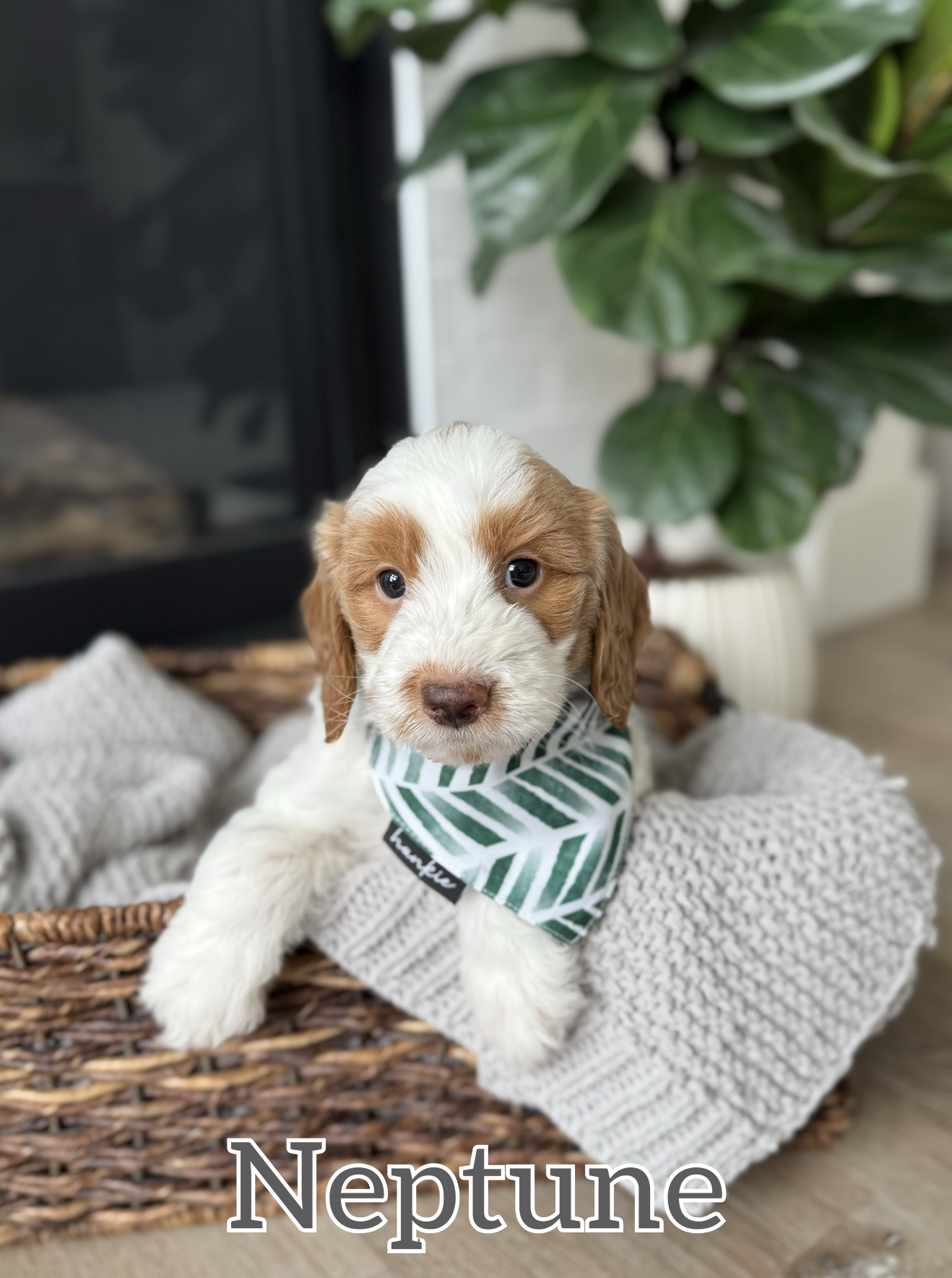 Screen Shot 2026-03-23 at 10.56.05 AM.png