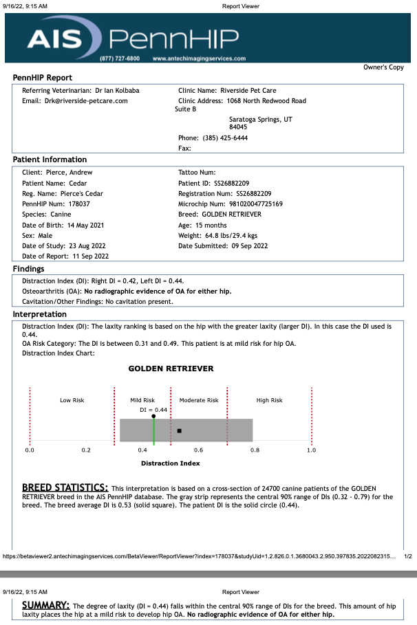 health-tested genetics including PennHIP DI 0.44 (mild risk) and E Locus e/e with high red intensity. Available for stud services in Provo and Salt Lake City, Utah.
