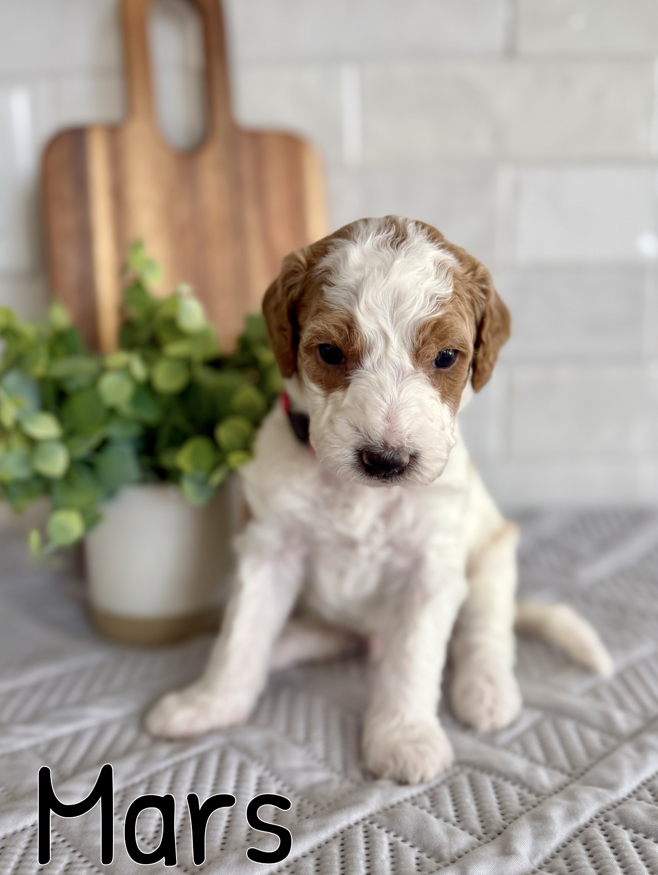 Screen Shot 2026-03-15 at 6.14.14 PM.png