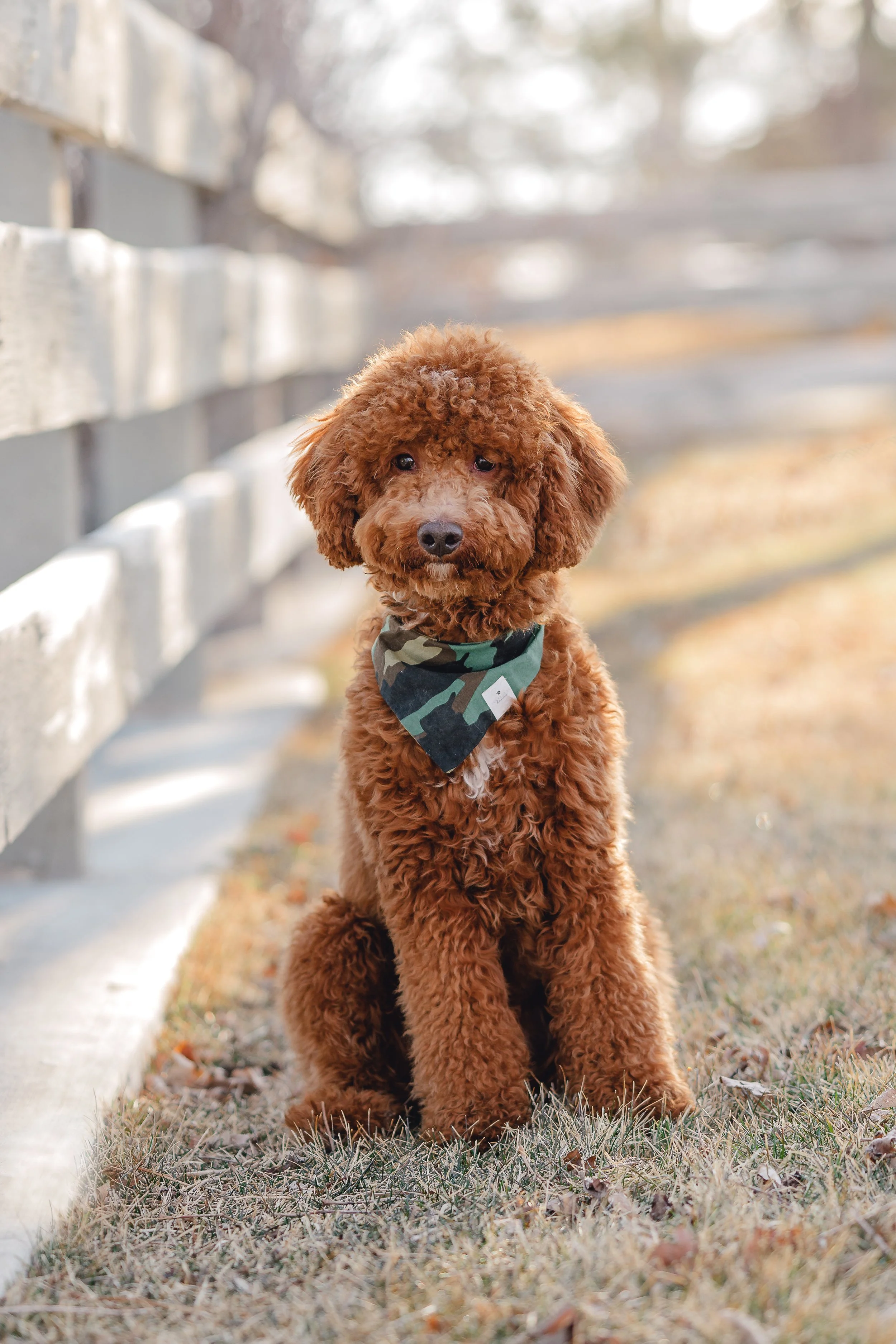 Goose_TeddyBear_FGP-30.jpg