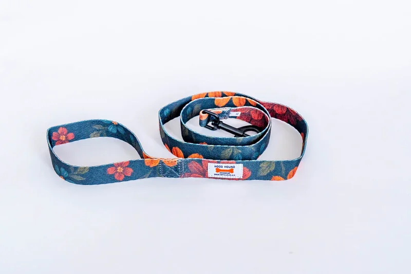 Leash_GrandmasCouch.webp
