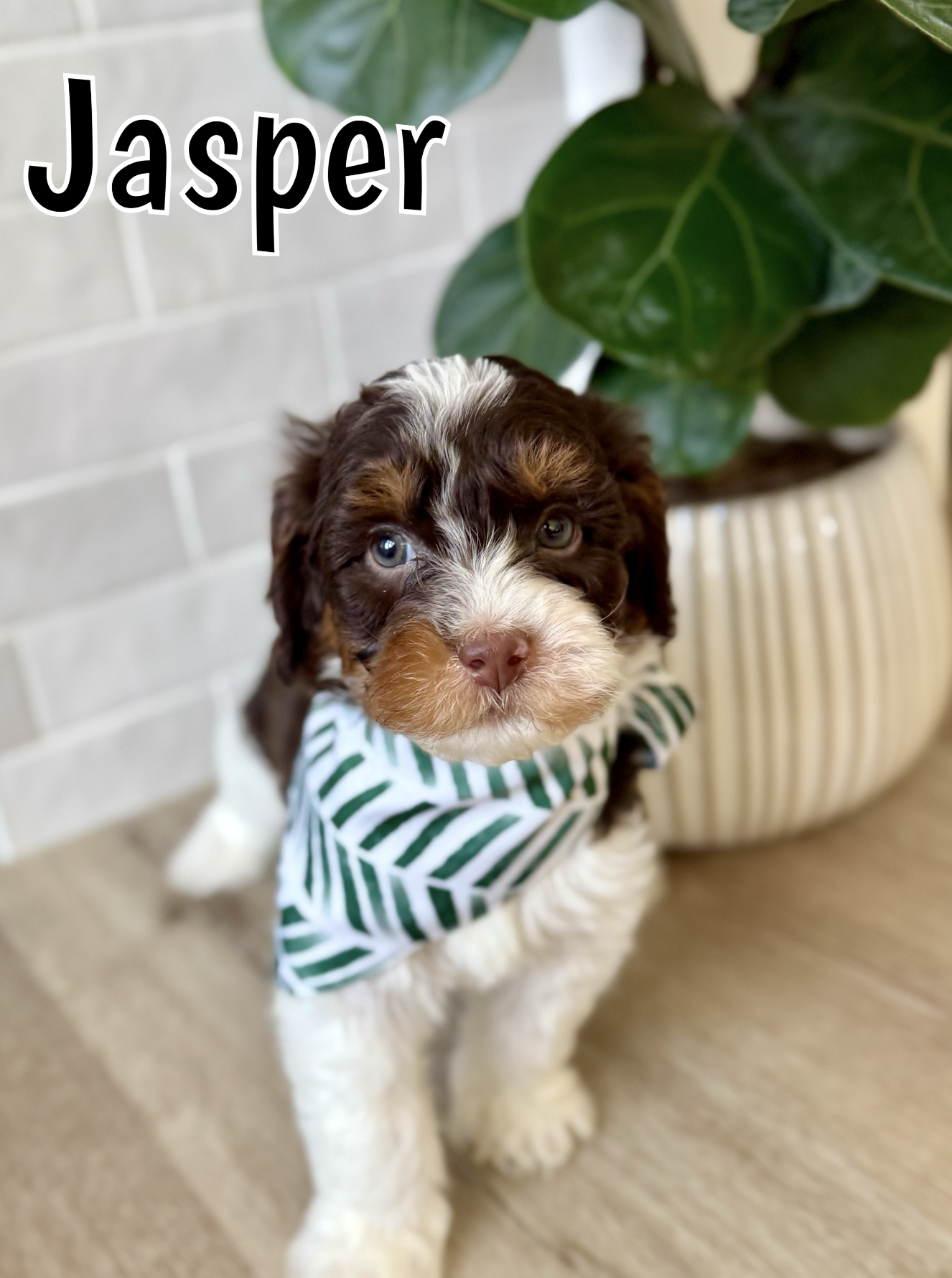 Screen Shot 2026-03-04 at 11.53.42 AM.png