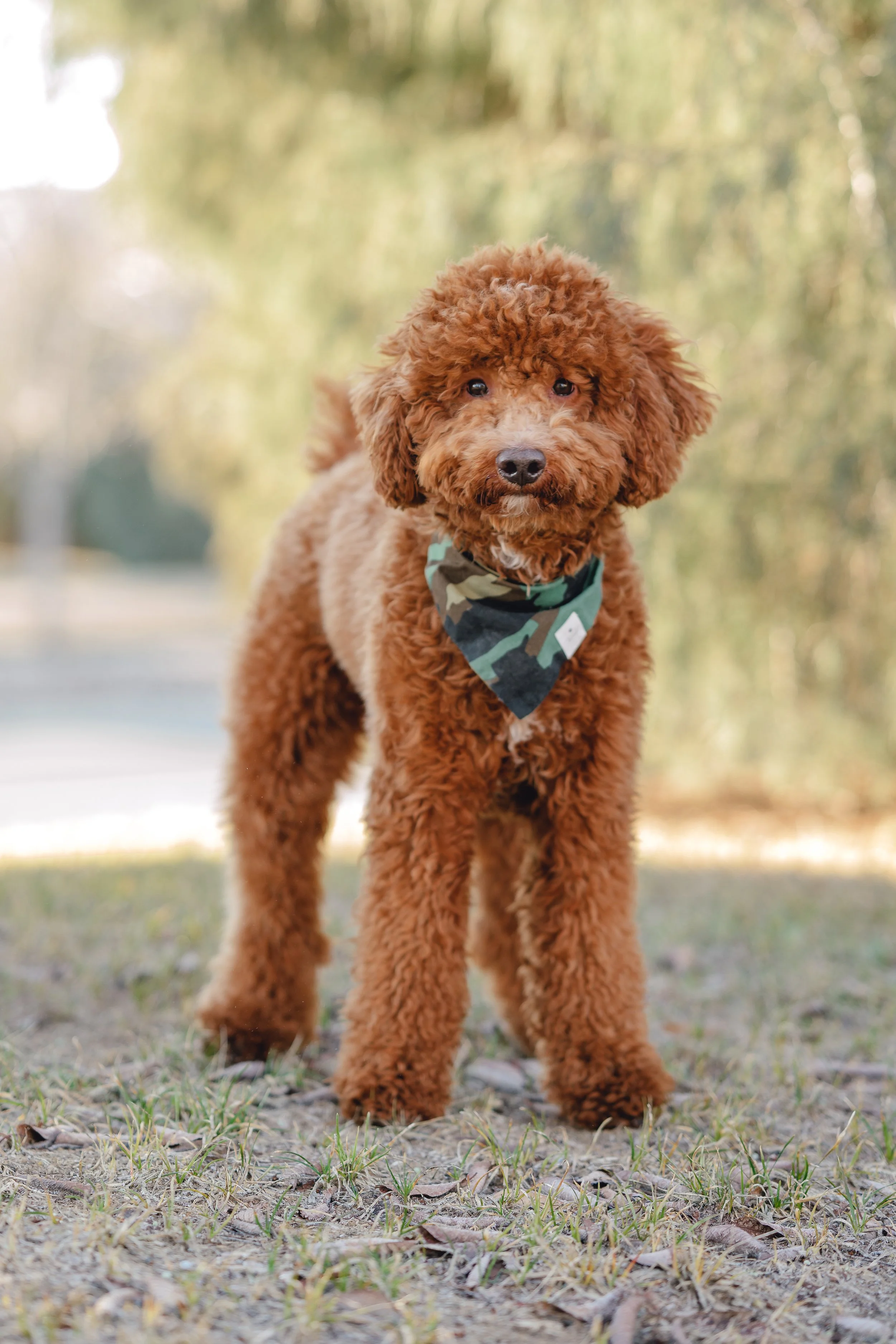 Goose_TeddyBear_FGP-15.jpg