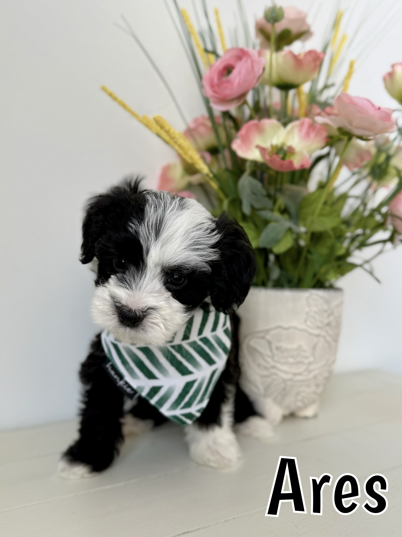 Screen Shot 2026-03-04 at 1.01.07 PM.png