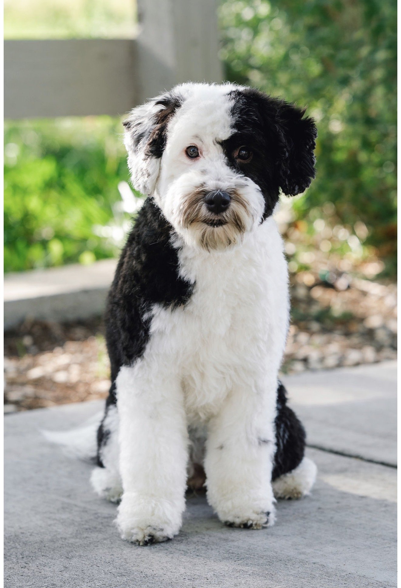 Lucy (Mama | Not For Sale)