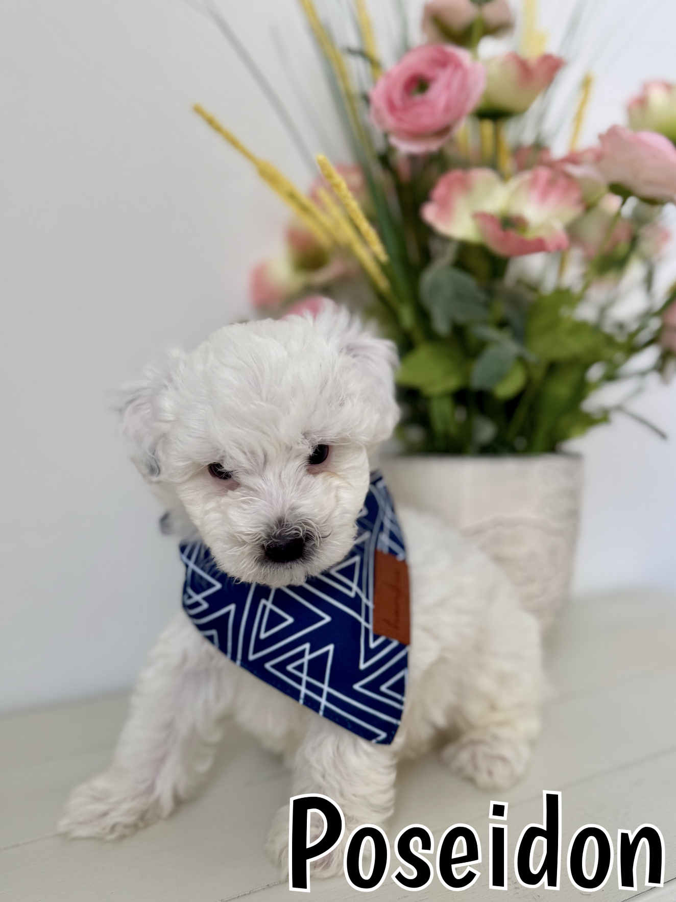 Screen Shot 2026-03-04 at 1.02.14 PM.png