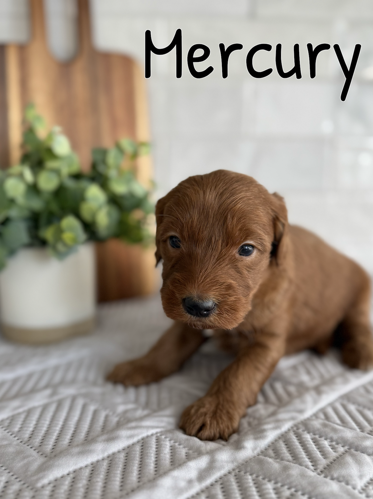 Screen Shot 2026-03-15 at 6.12.28 PM.png