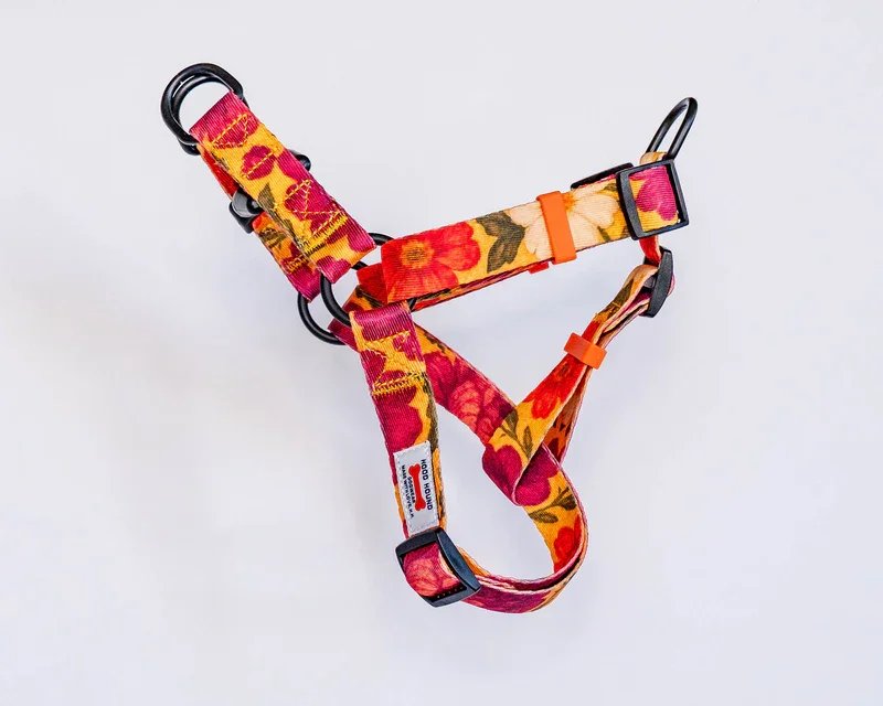 Harness_P.Y.T.webp