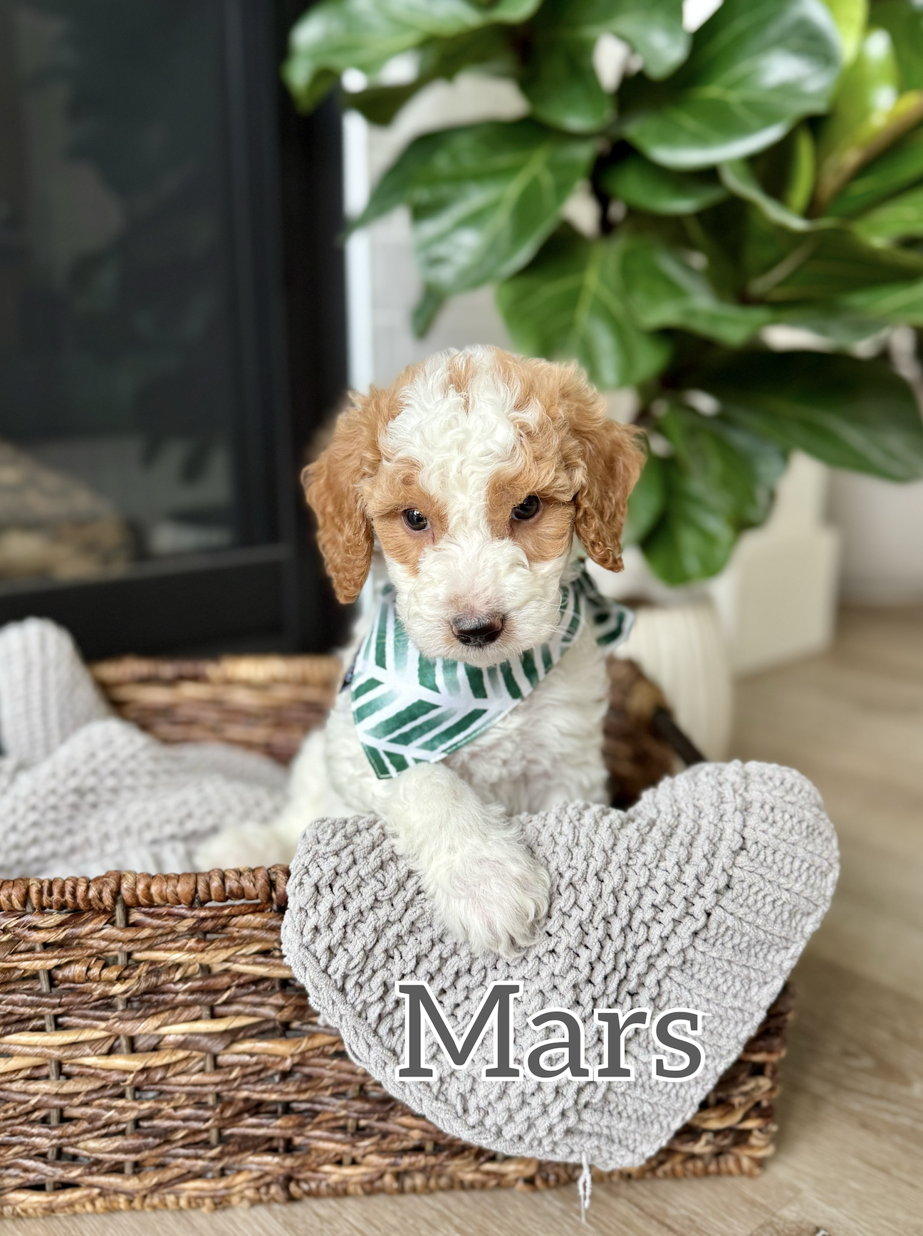 Screen Shot 2026-03-23 at 10.55.13 AM.png