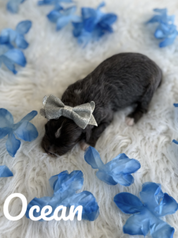 Screen Shot 2026-01-29 at 10.53.14 AM.png