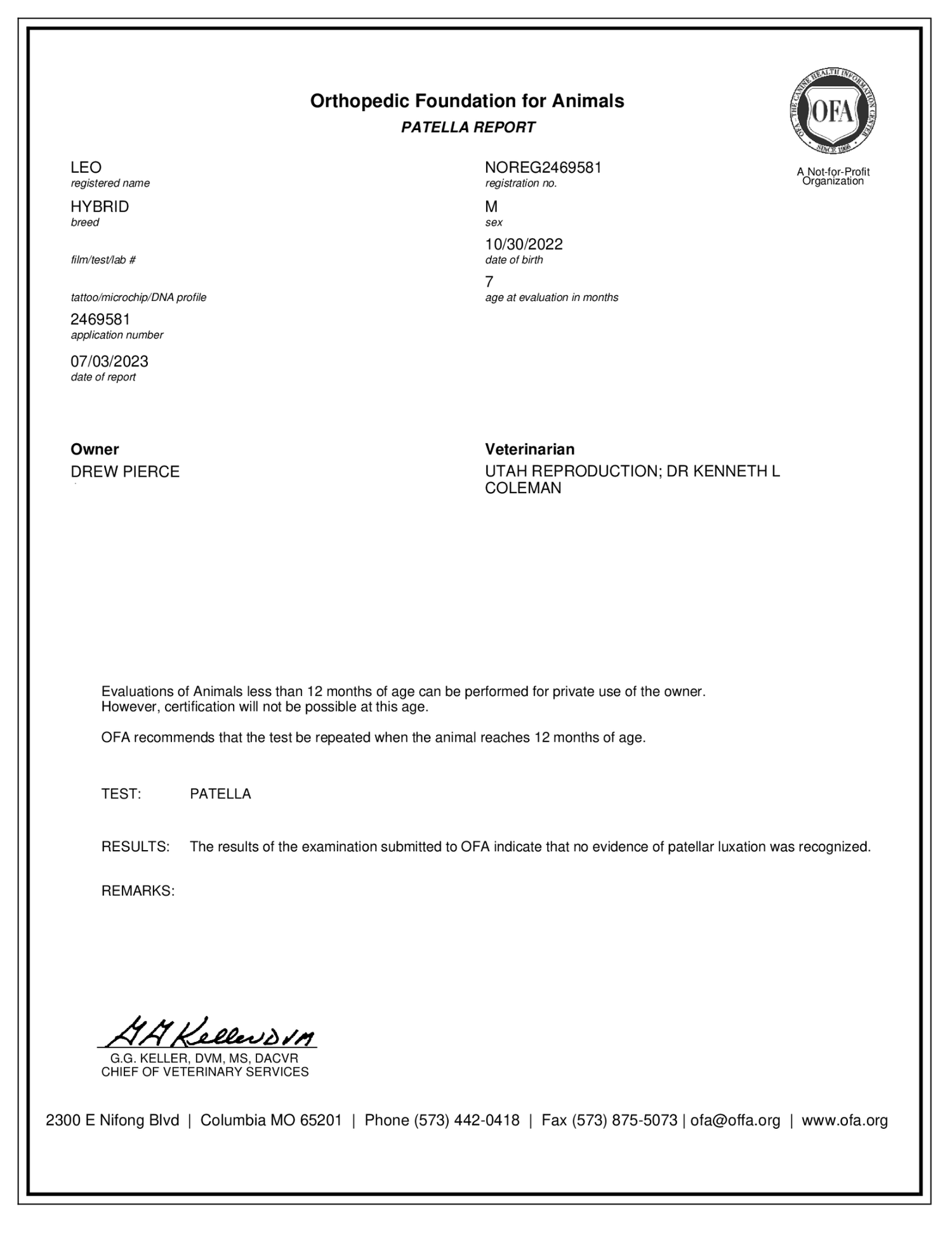 OFA Patella Report for Mini Goldendoodle stud Leo showing no evidence of patellar luxation, performed at 7 months of age by Dr. Kenneth L. Coleman at Utah Reproduction in Salt Lake City, Utah