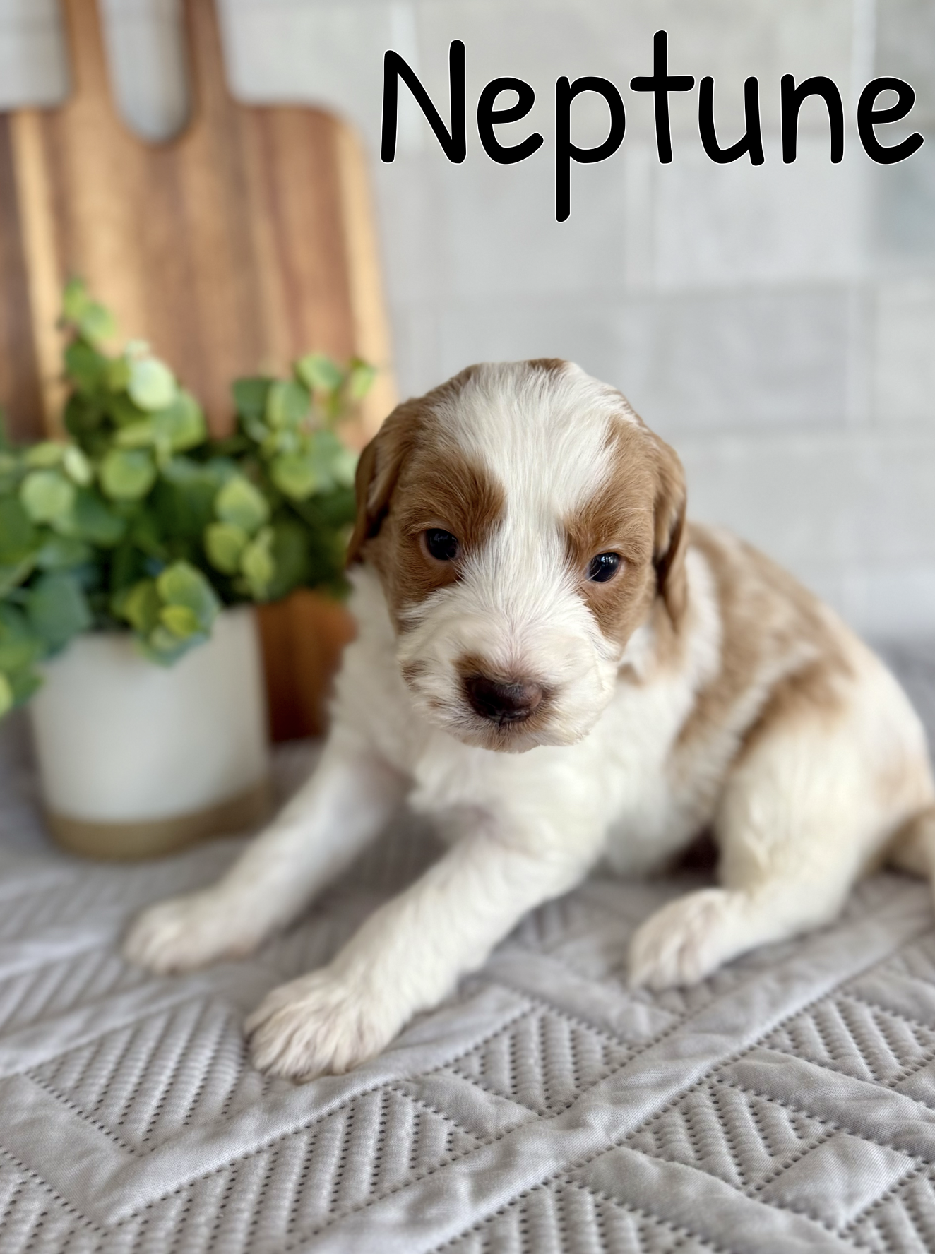 Screen Shot 2026-03-15 at 6.13.55 PM.png