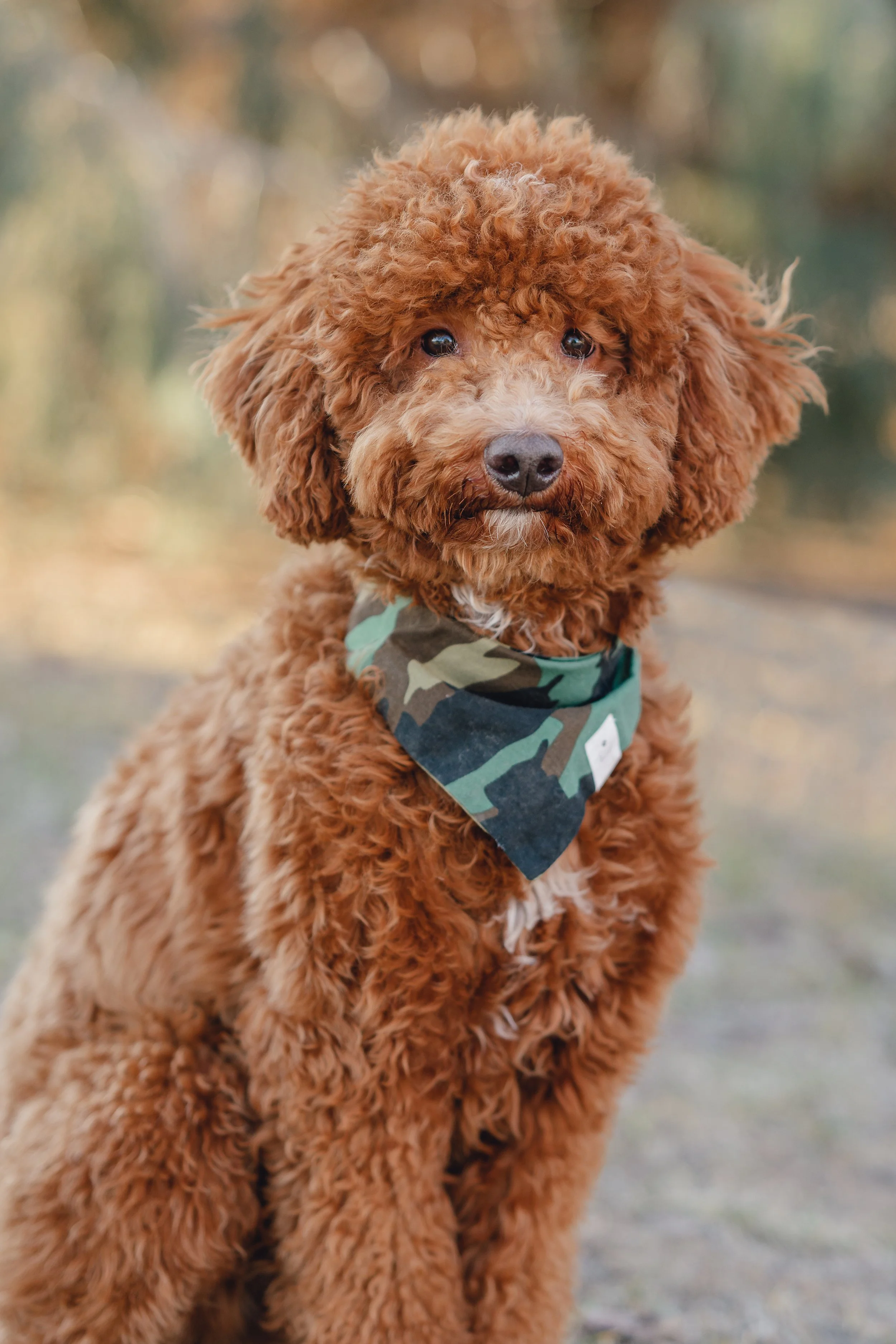 Goose_TeddyBear_FGP-18.jpg