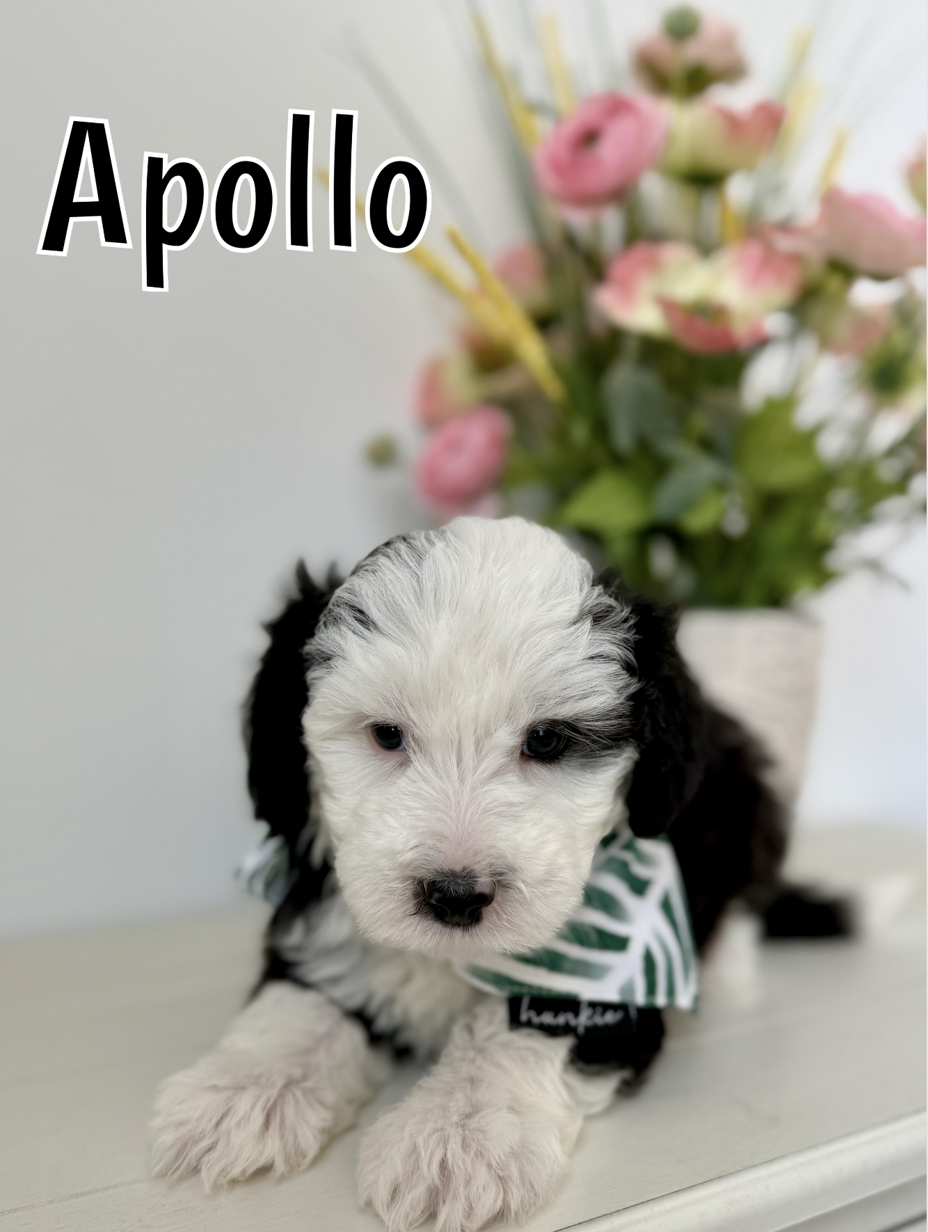 Screen Shot 2026-03-04 at 1.00.50 PM.png