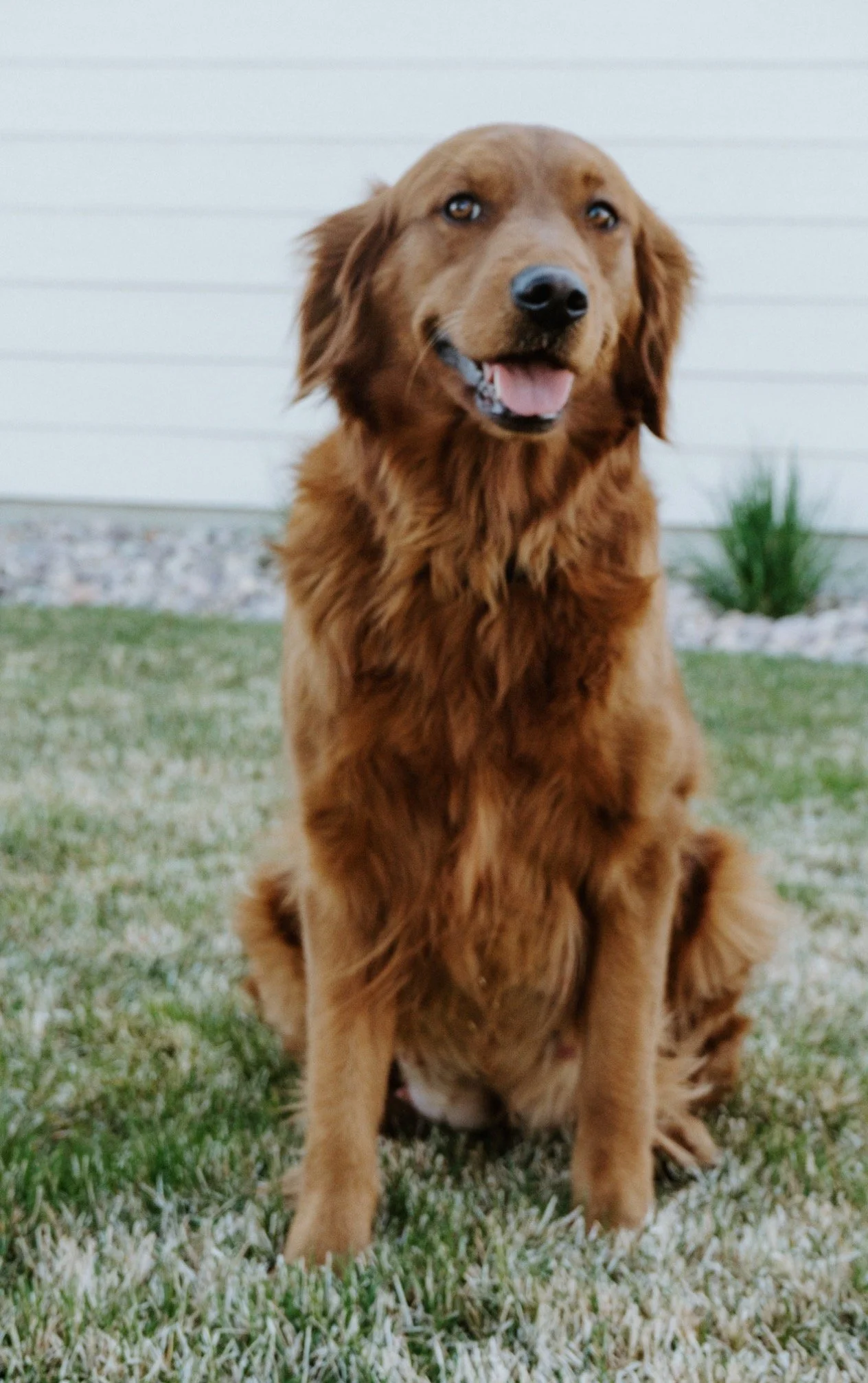 Aggie (Mama/Not For Sale)