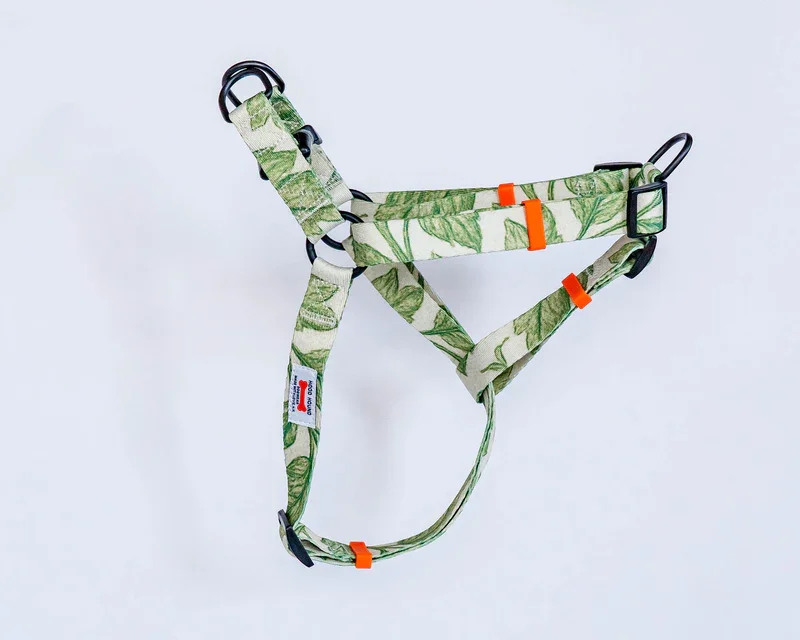 Harness_OfftheVIne.webp