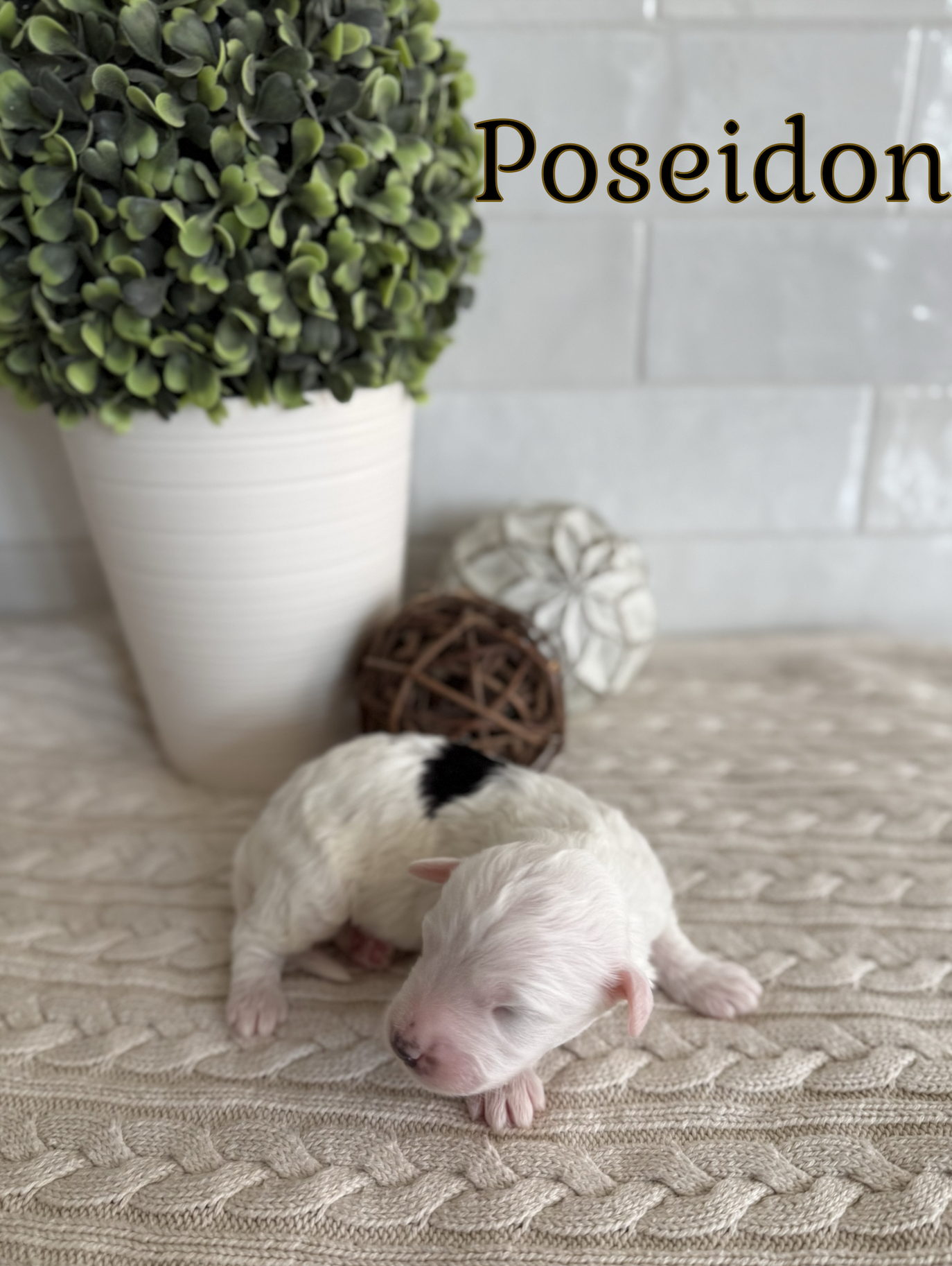 Screen Shot 2026-01-31 at 5.47.50 PM.png