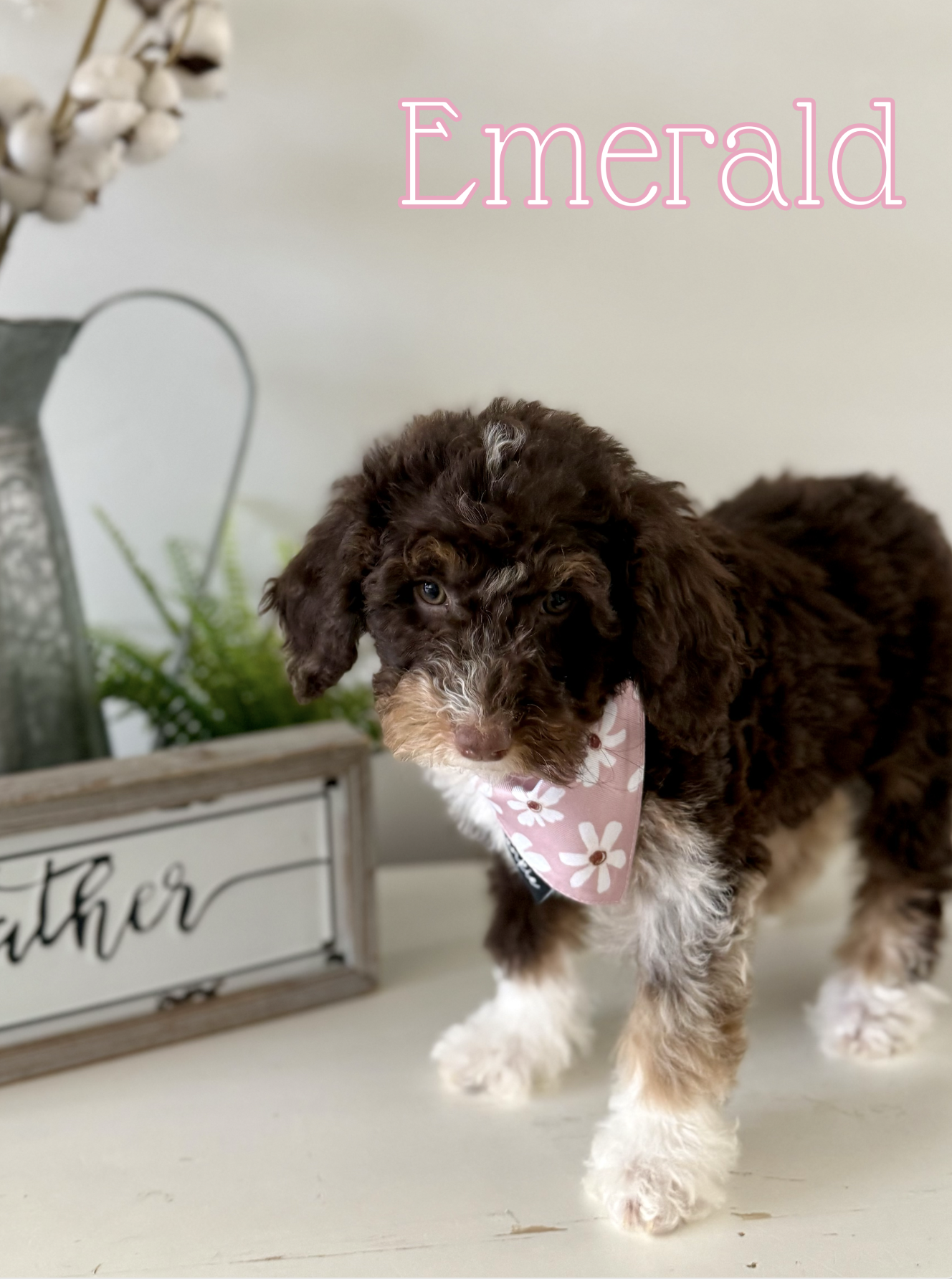 Screen Shot 2026-03-23 at 10.21.50 AM.png