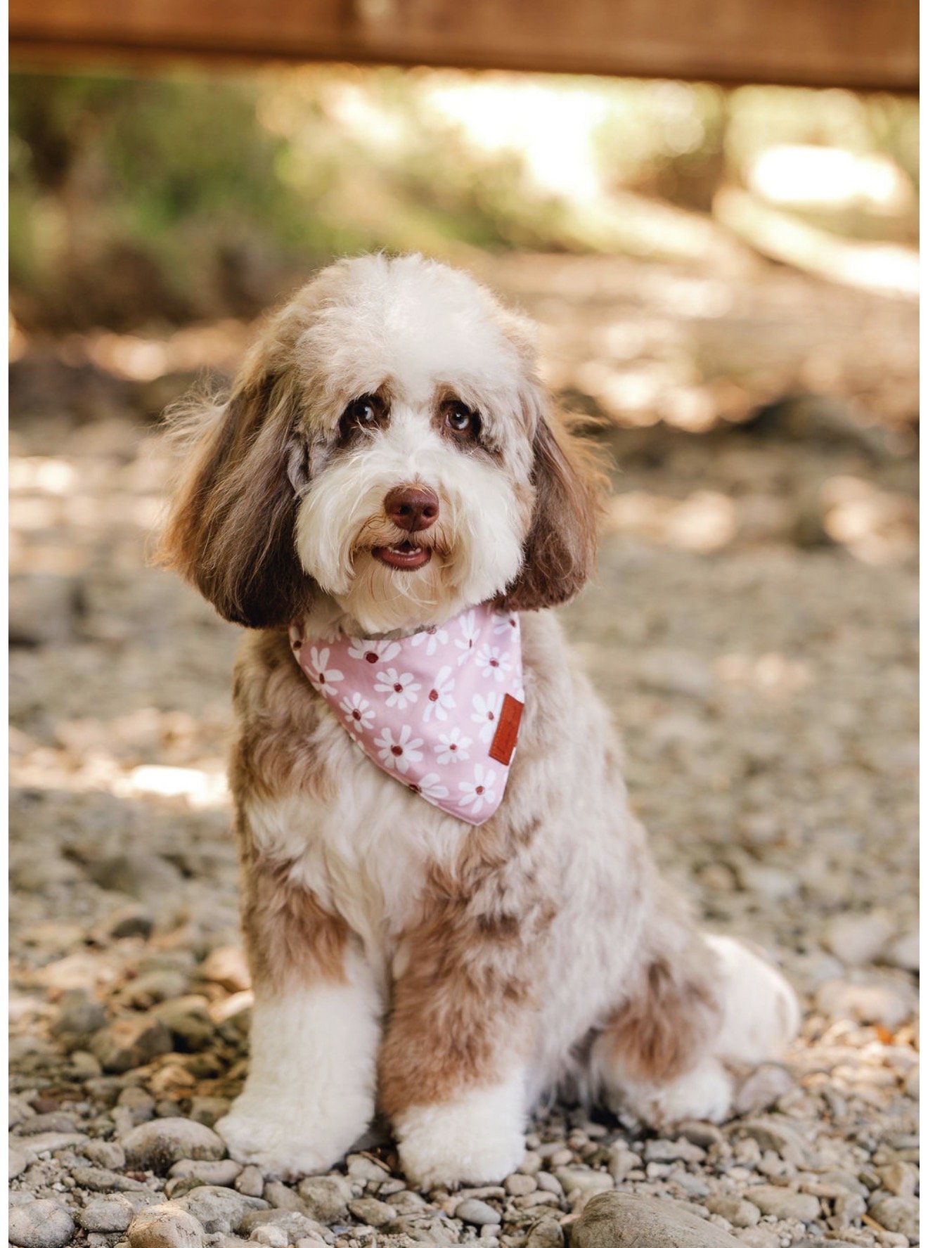 Cali (Mama/Not For Sale)