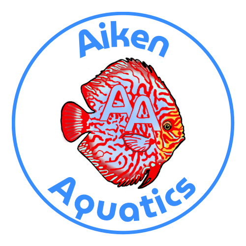 Aiken Aquatics