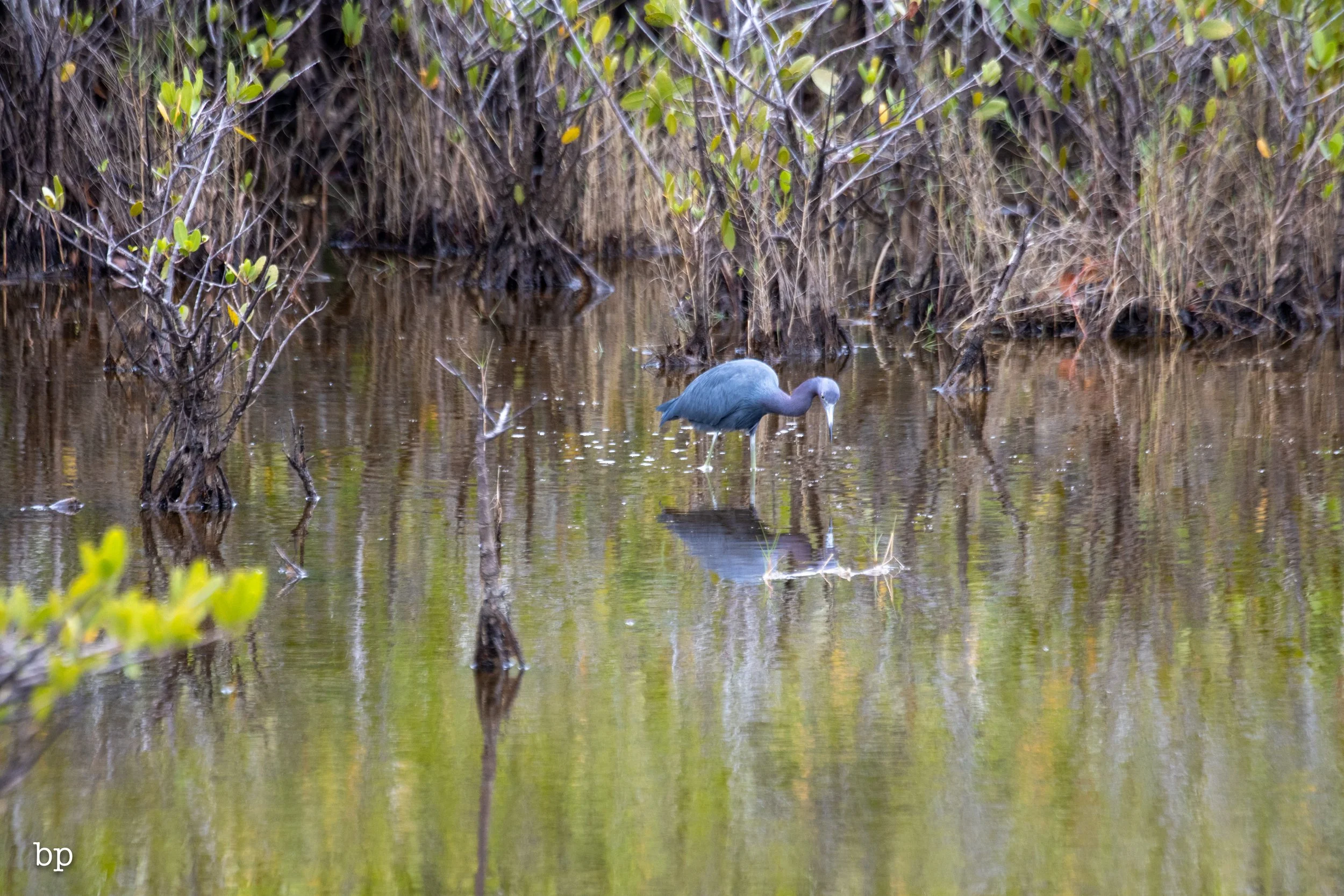 set_1209_cshore_99 (1 of 1).jpg