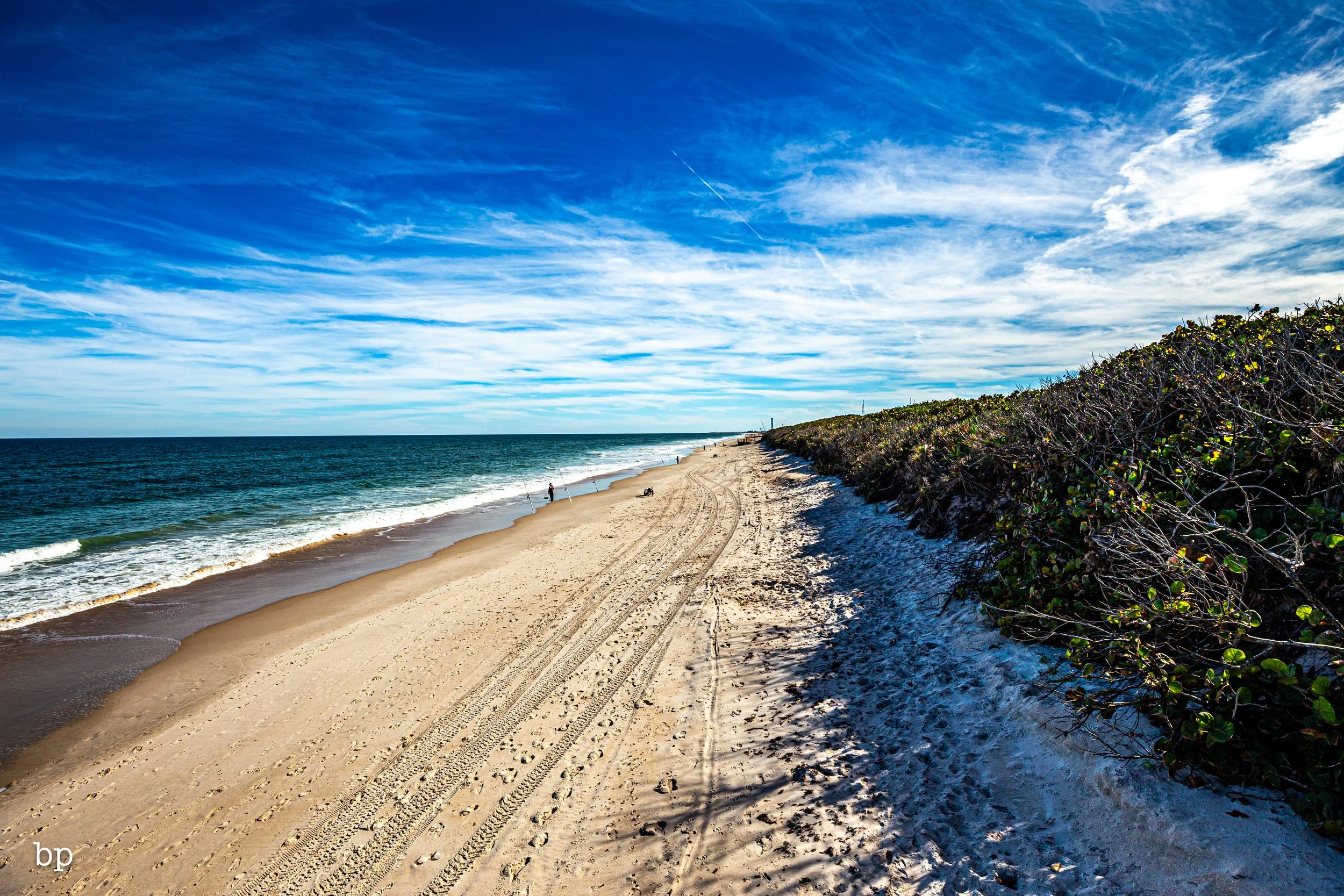 jungle_02_58 (1 of 1).jpg