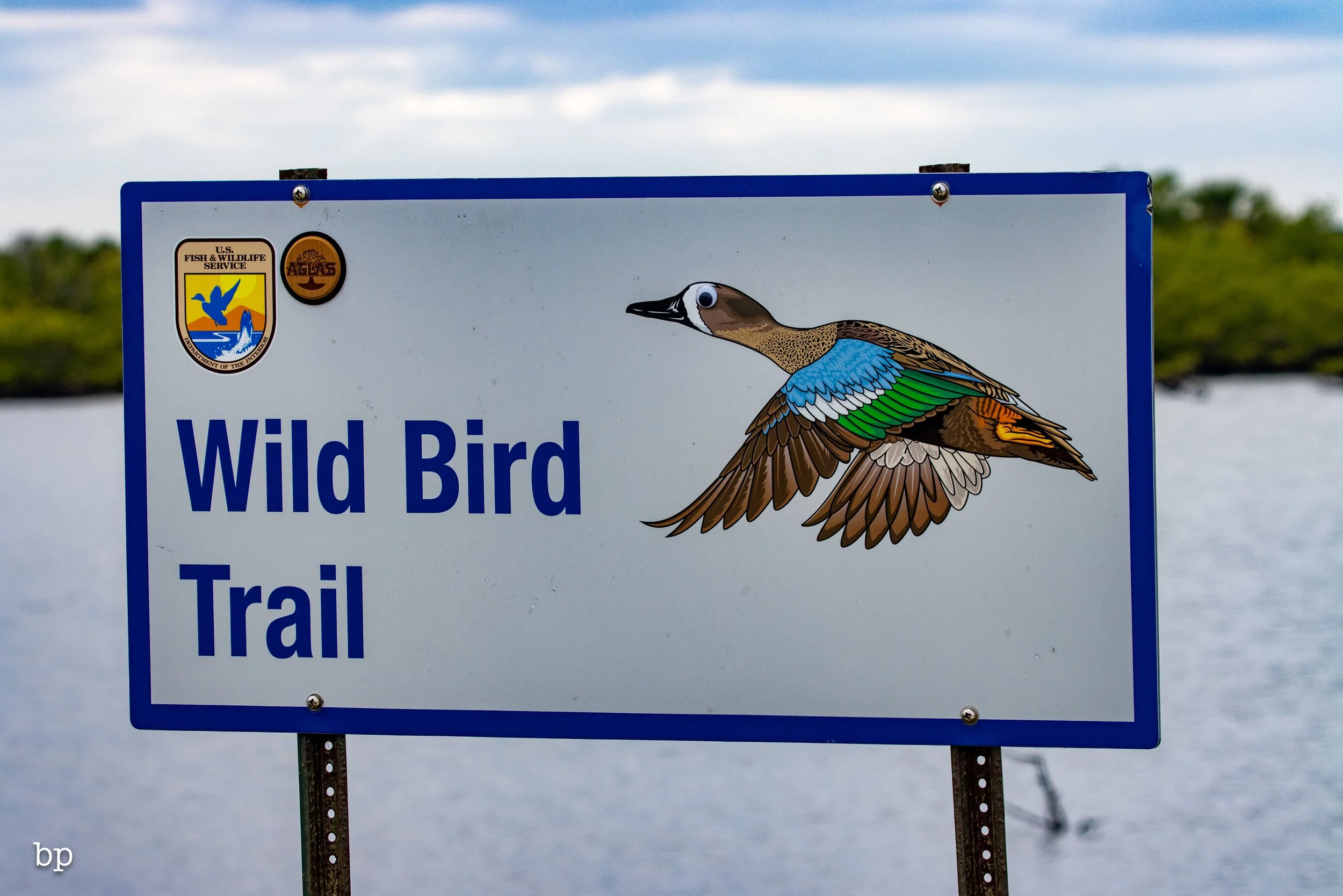 set_1209_cshore_121 (1 of 1).jpg