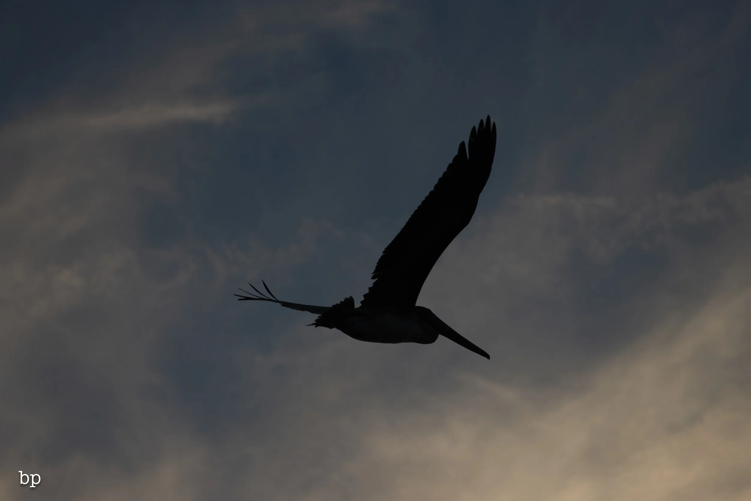 set_112525_1060 (1 of 1).jpg