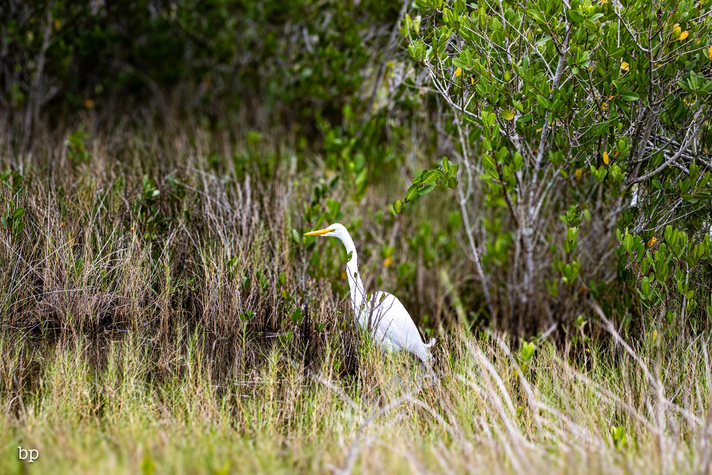 set_1209_cshore_95 (1 of 1).jpg