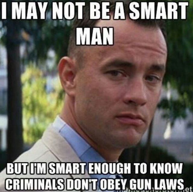 gun laws.jpeg