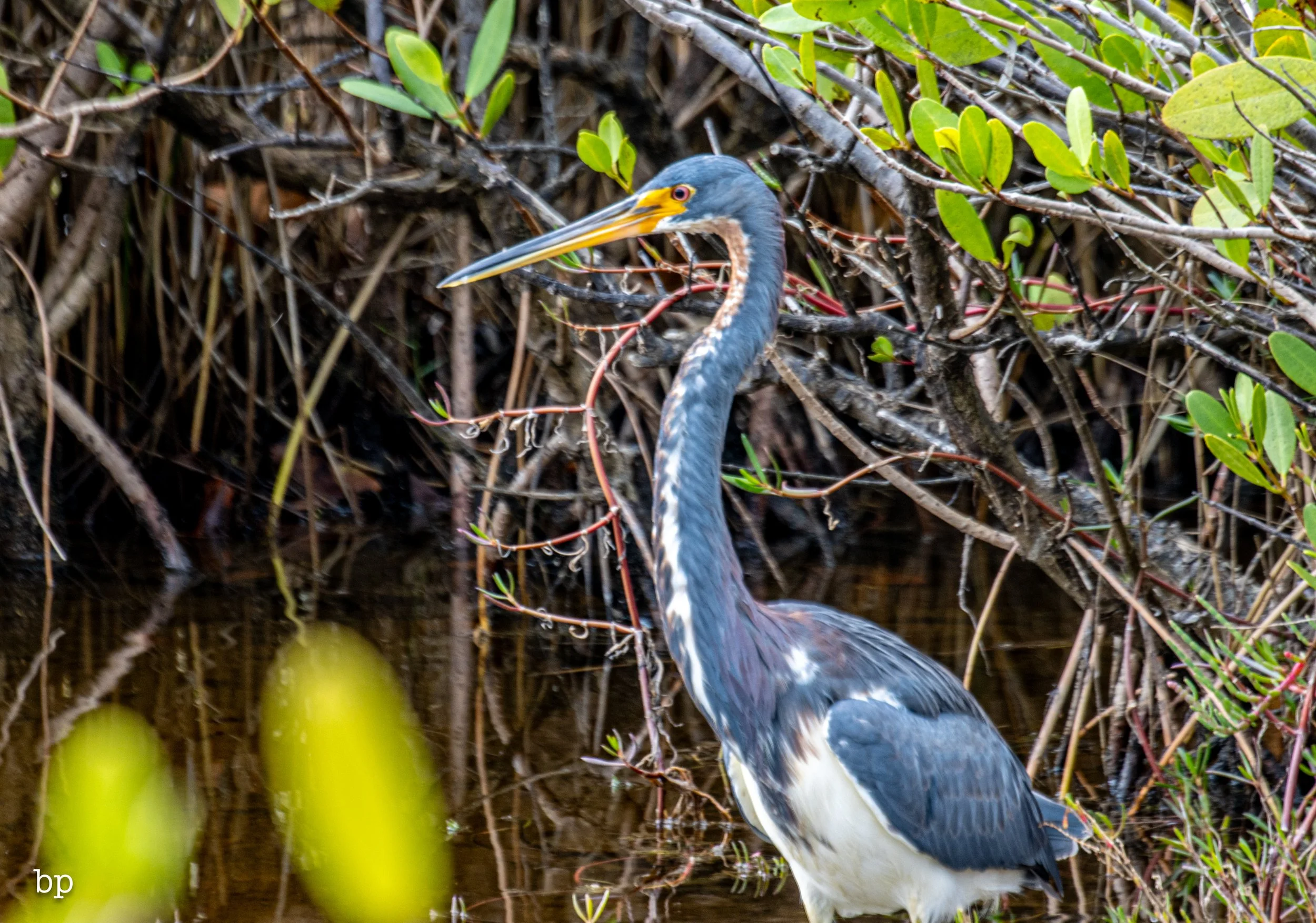 set_1209_cshore_144 (1 of 1).jpg