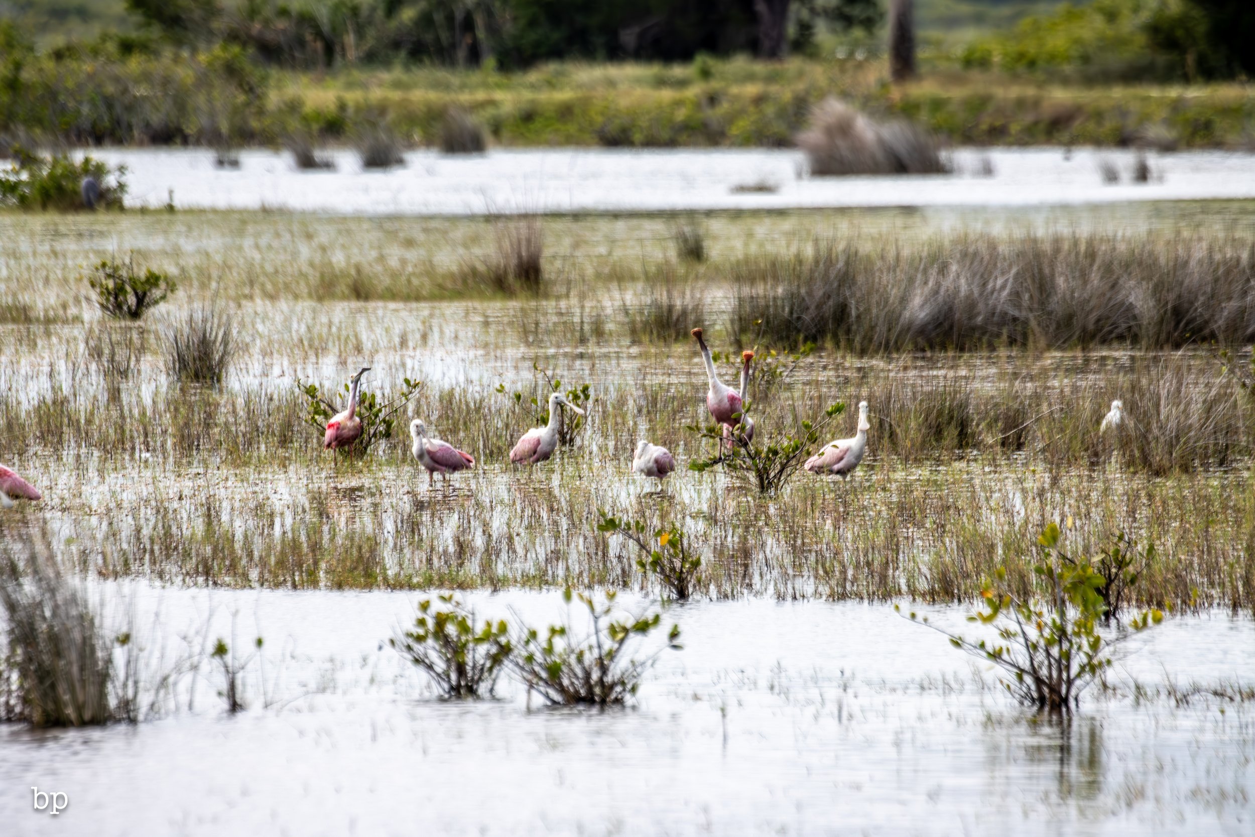 set_1209_cshore_107 (1 of 1).jpg