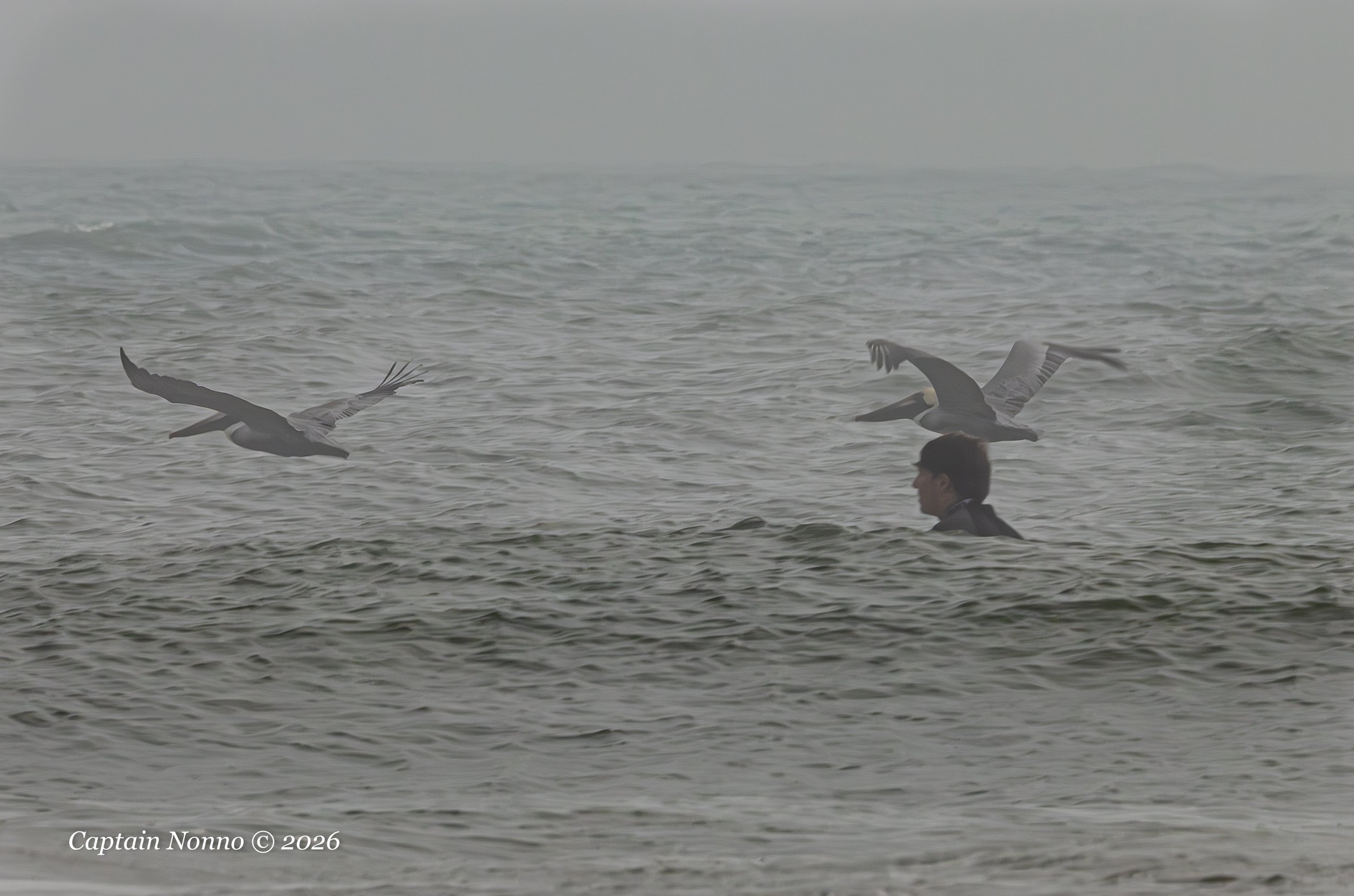 012226_191 (1 of 1).jpg