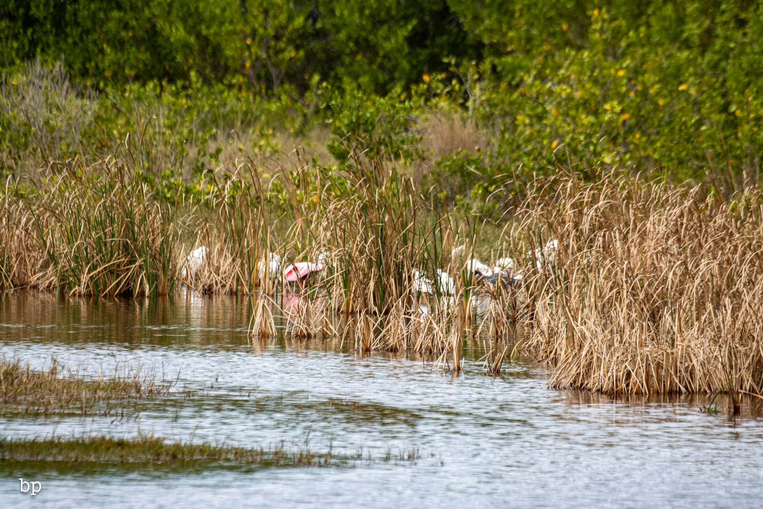 set_1209_cshore_145 (1 of 1).jpg