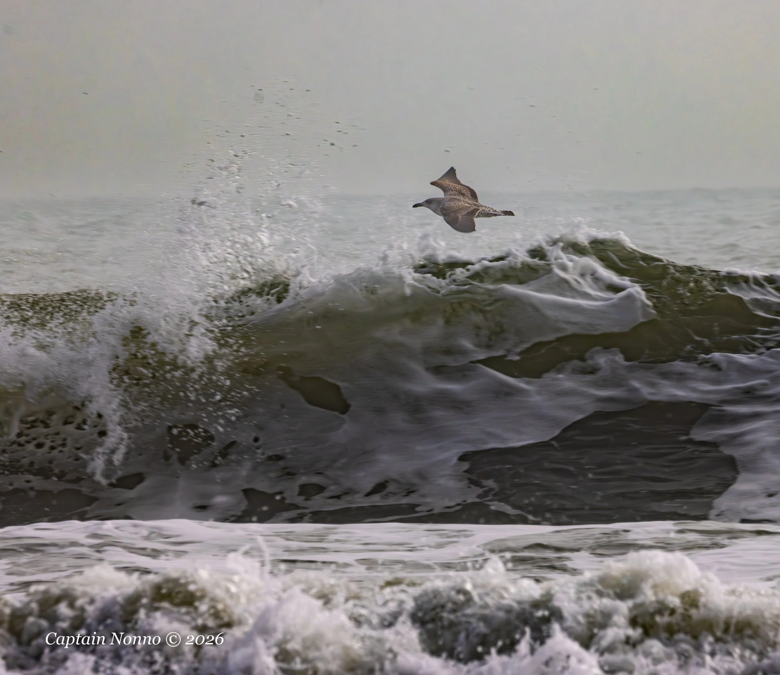 012226_190 (1 of 1).jpg