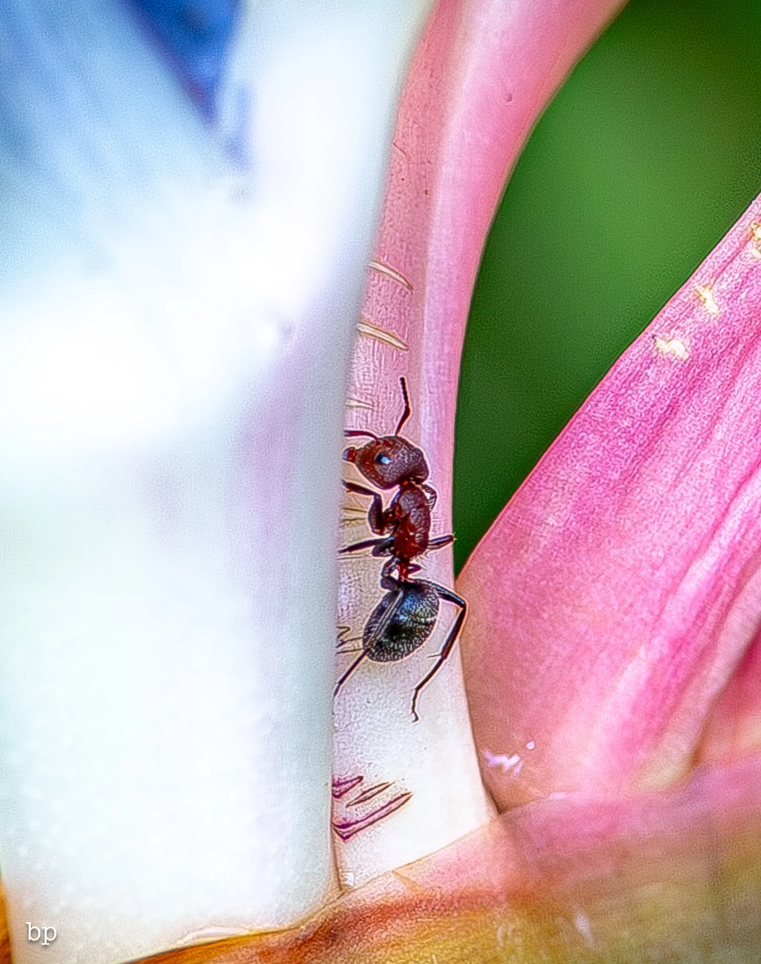 stash_30 (1 of 1).jpg