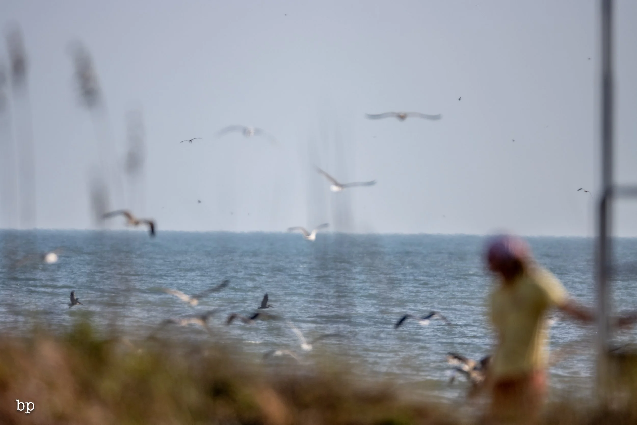 set_120525_raw_28_beachy800 (1 of 1).jpg