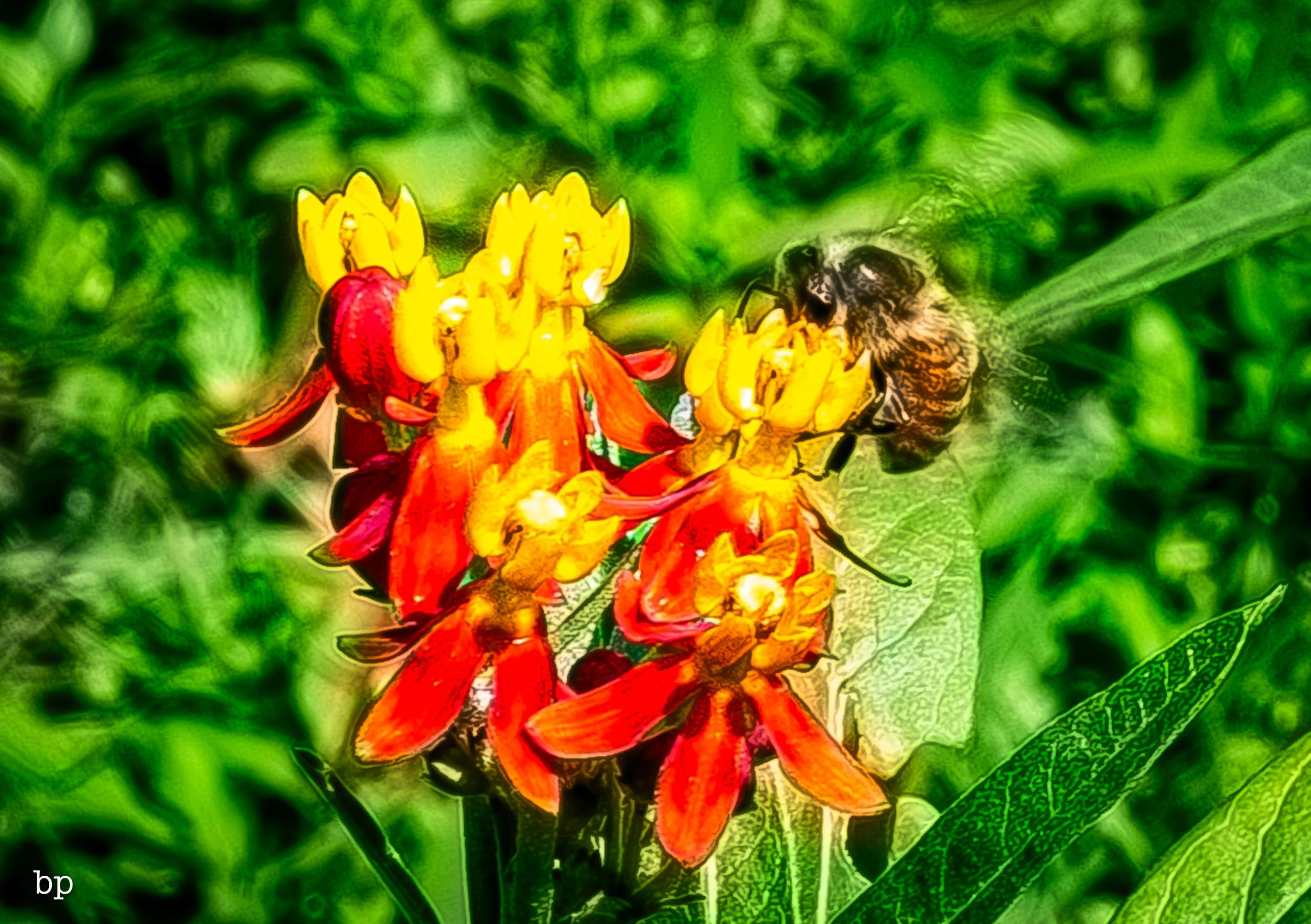 macro_13 (1 of 1).jpg