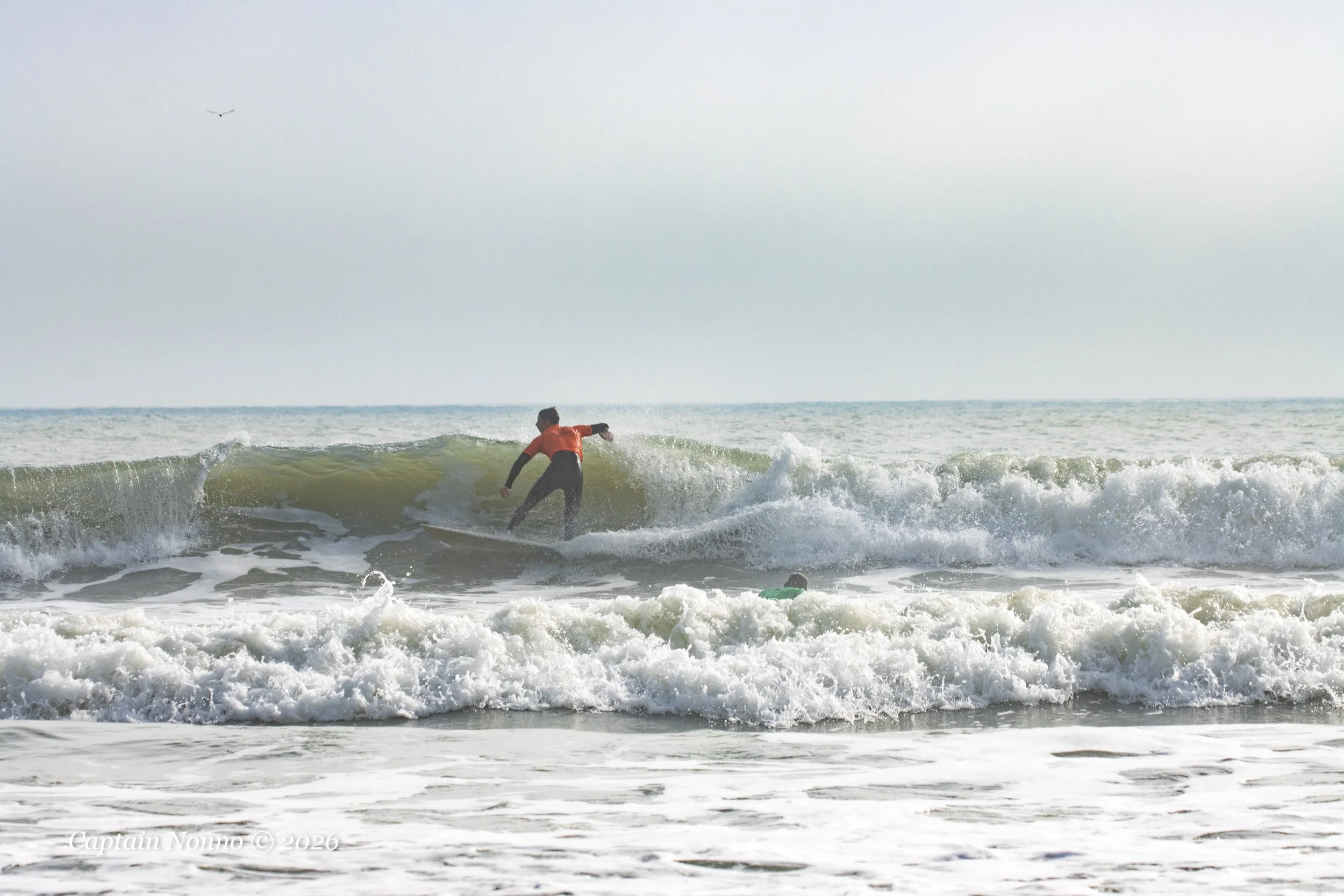 012226_240 (1 of 1).jpg