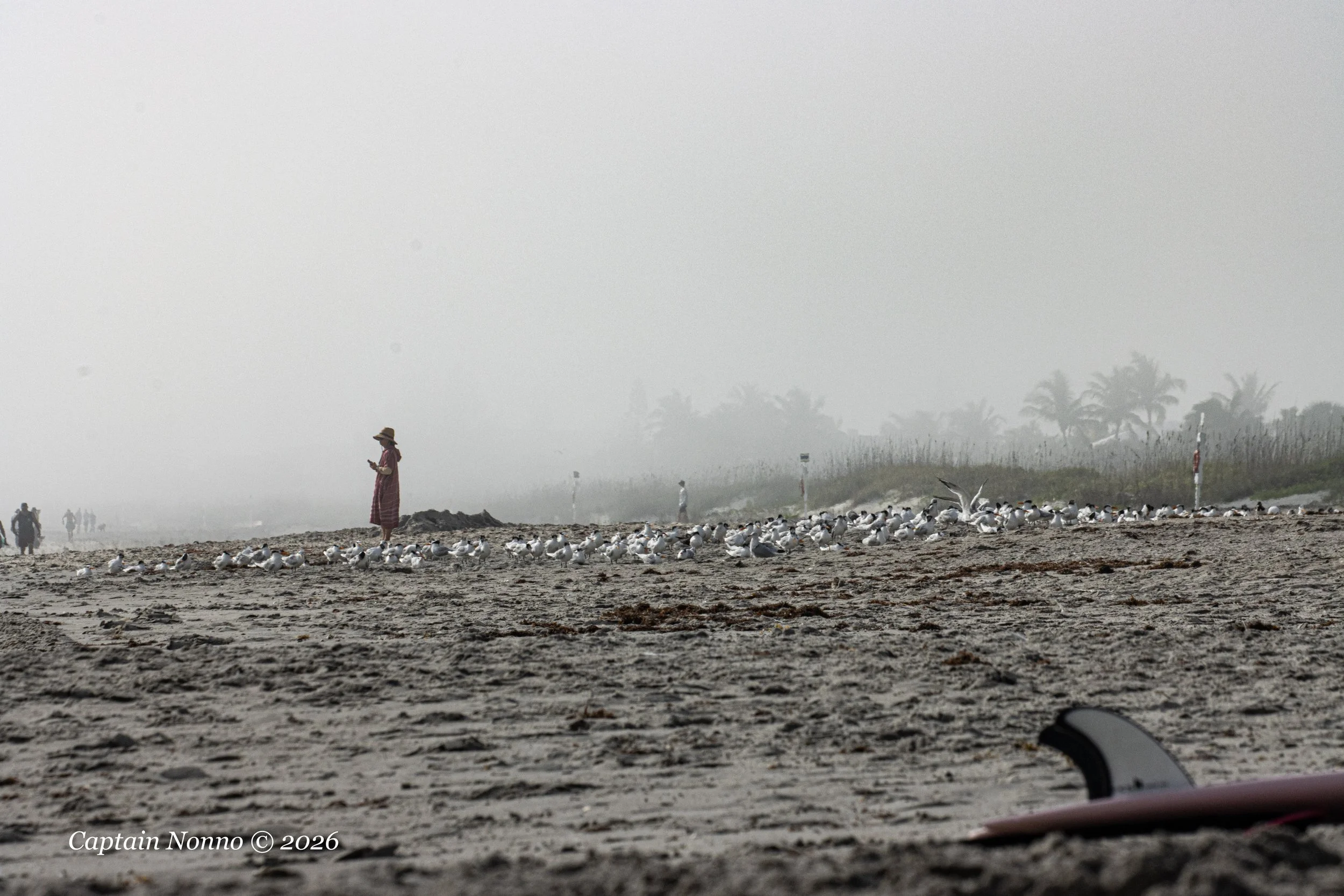 012226_194 (1 of 1).jpg