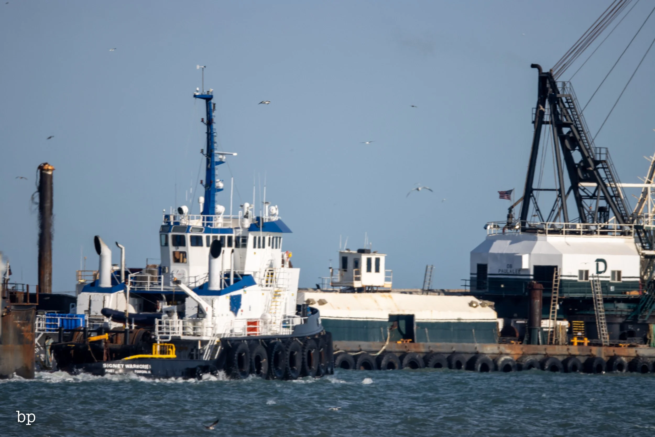 set_120525_raw_26_tug (1 of 1).jpg