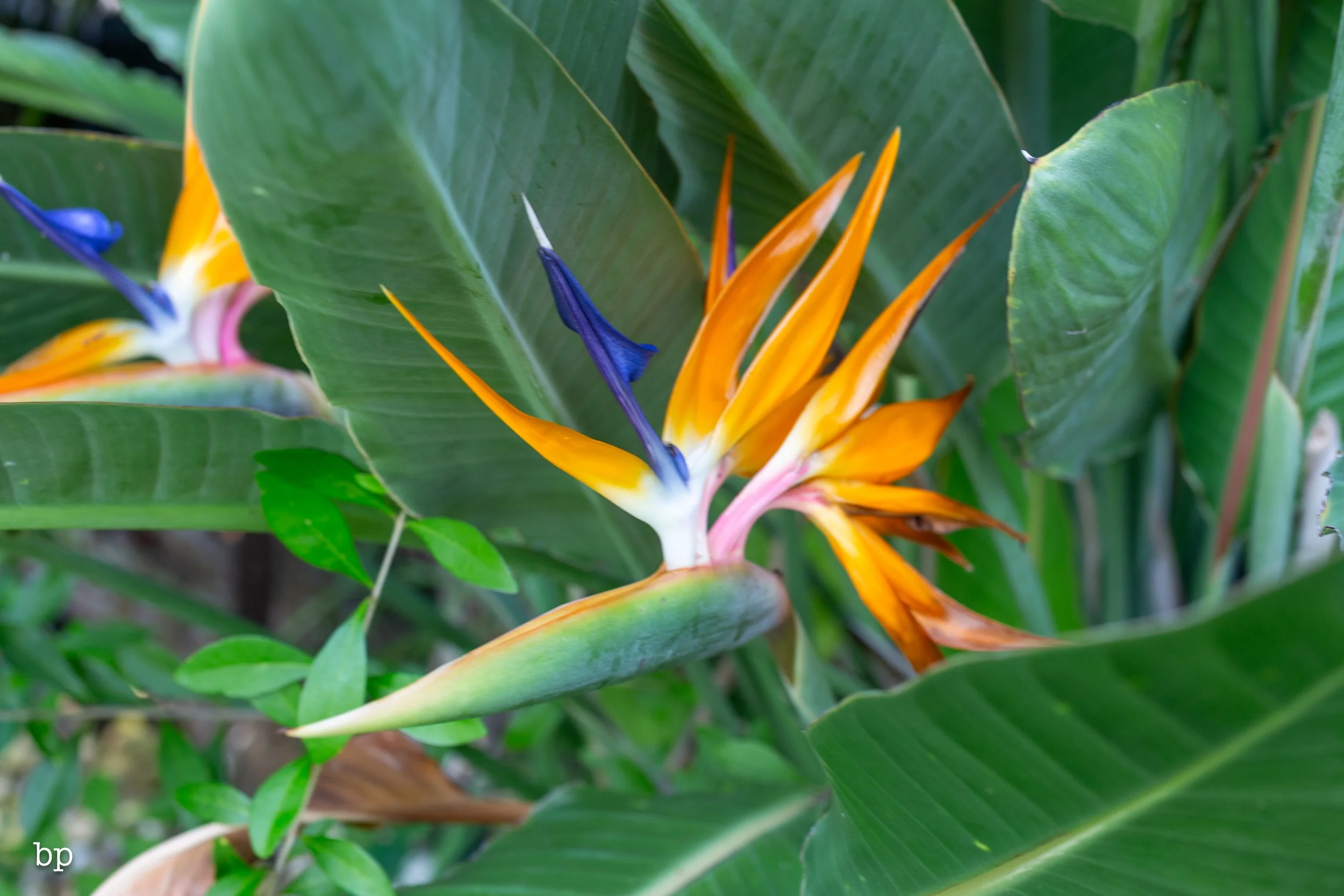 stash_31 (1 of 1).jpg