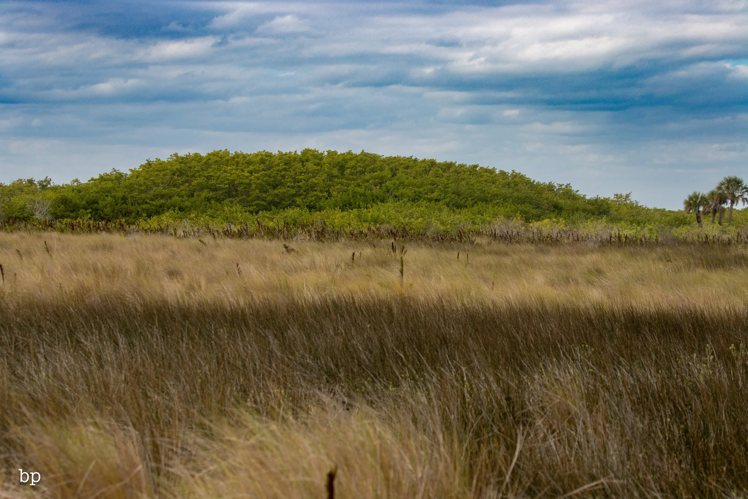 set_1209_cshore_146 (1 of 1).jpg