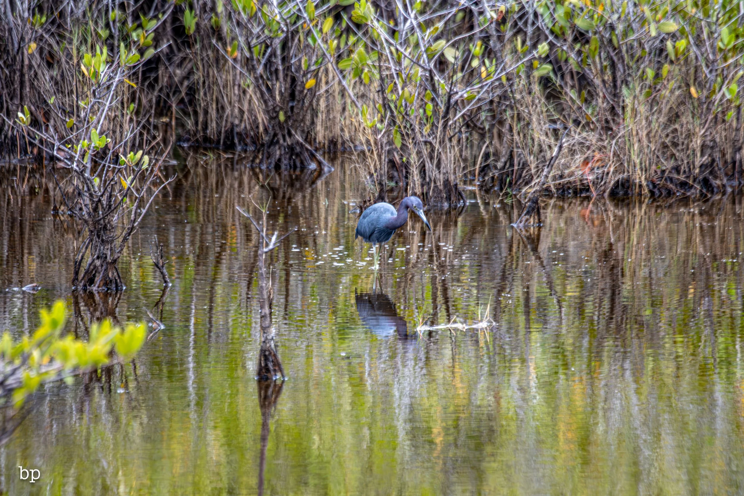 set_1209_cshore_97 (1 of 1).jpg