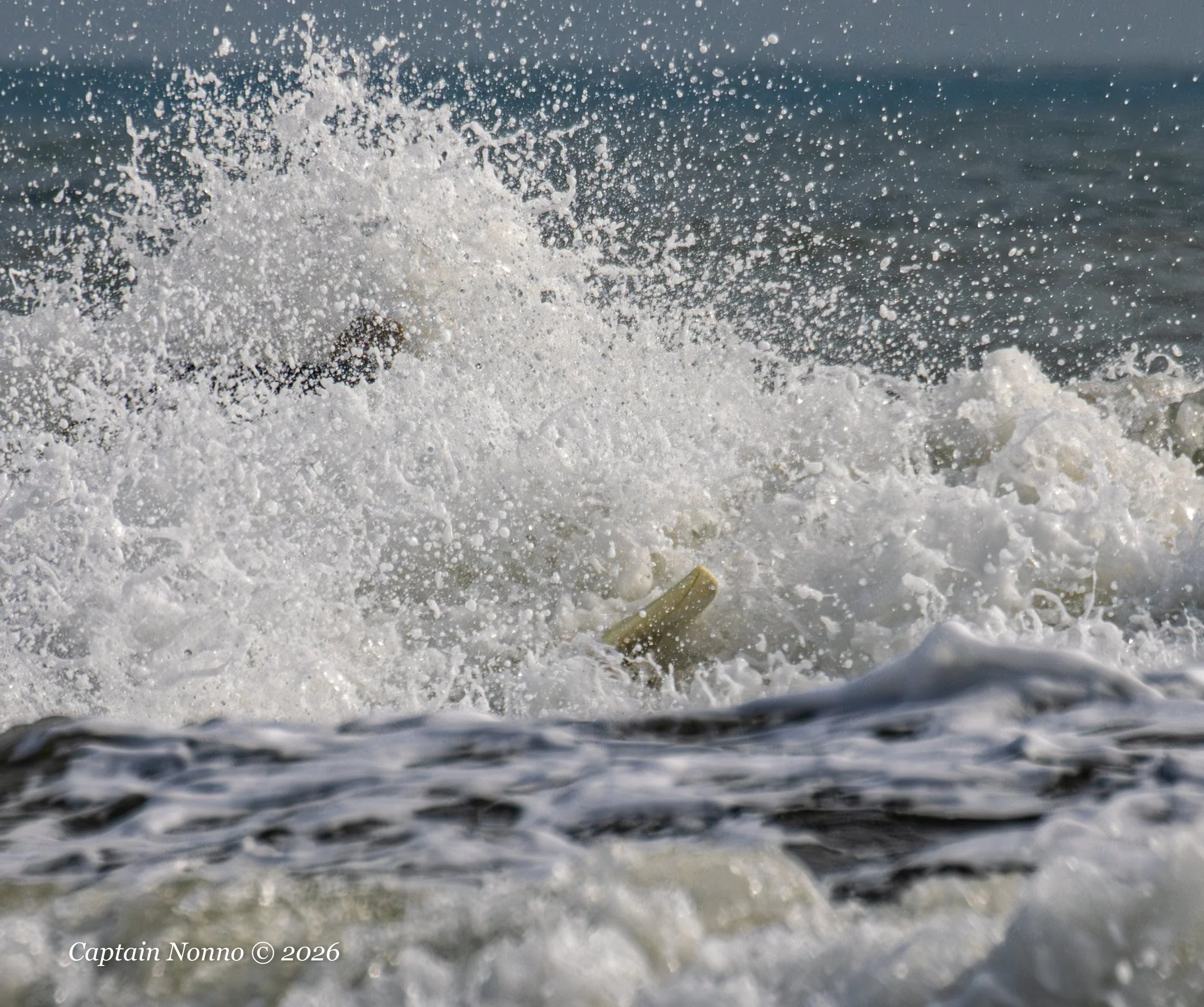 012226_241 (1 of 1).jpg