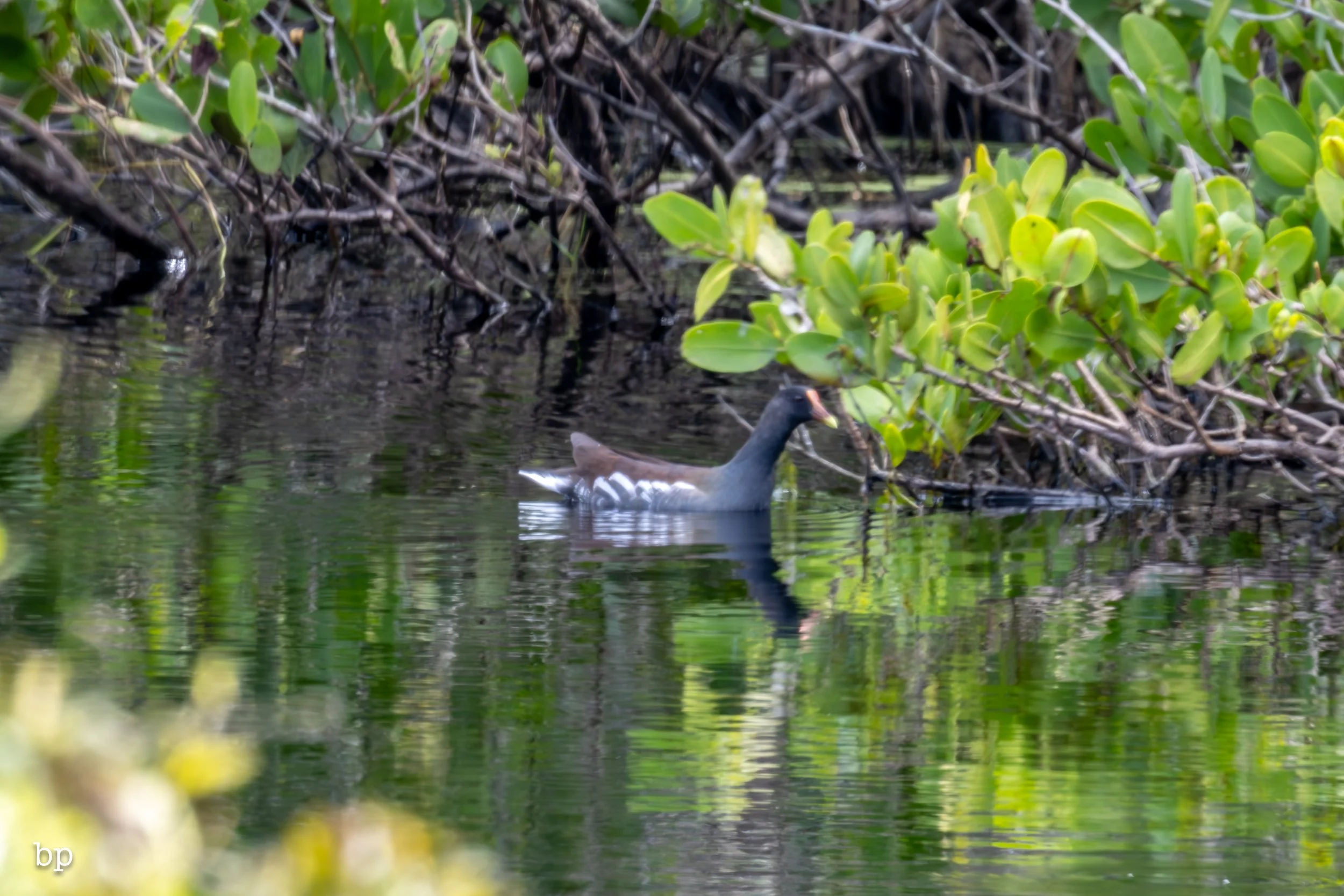 set_1209_cshore_77 (1 of 1).jpg