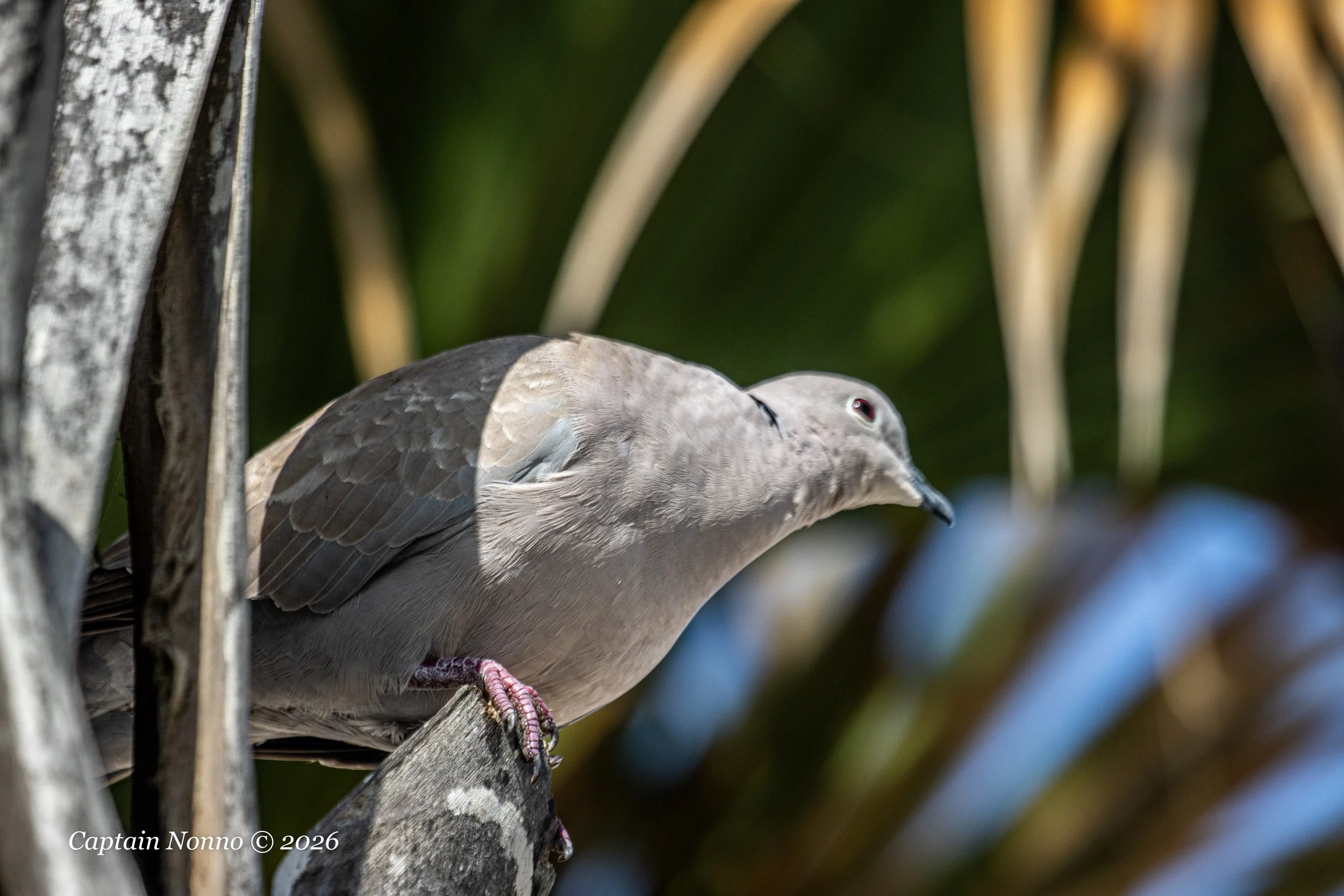 012226_238 (1 of 1).jpg