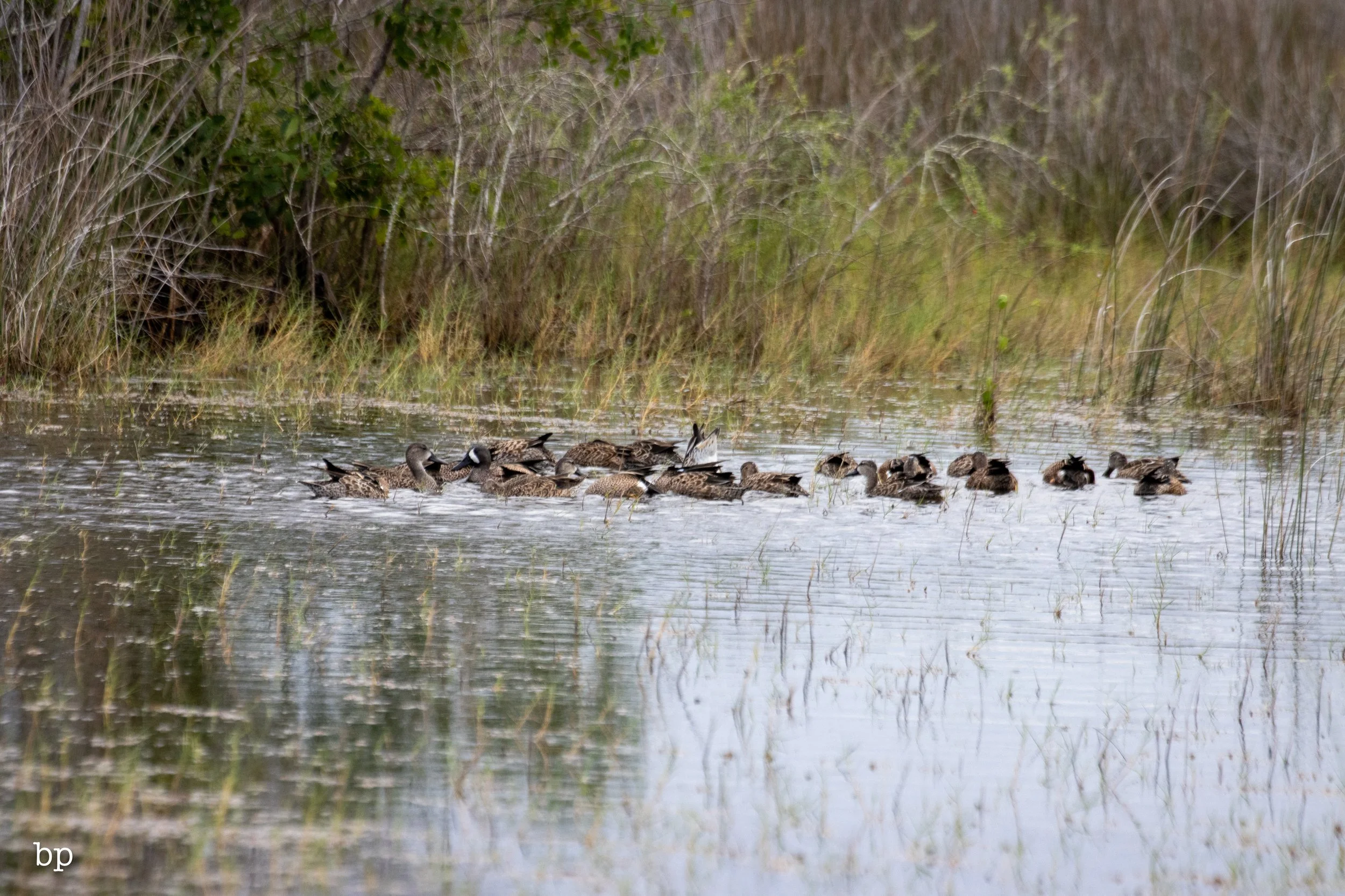 set_1209_cshore_111 (1 of 1).jpg